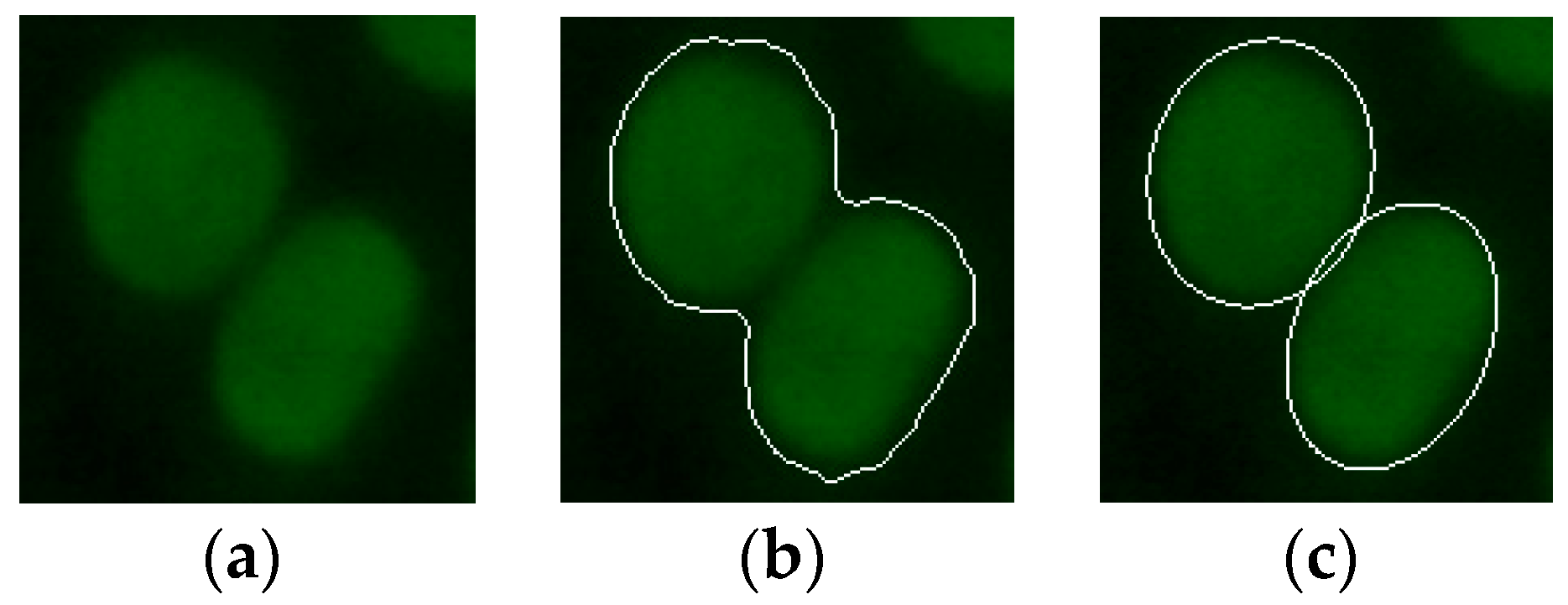 Applsci 09 00307 g004 Applsci 09 00307 g004