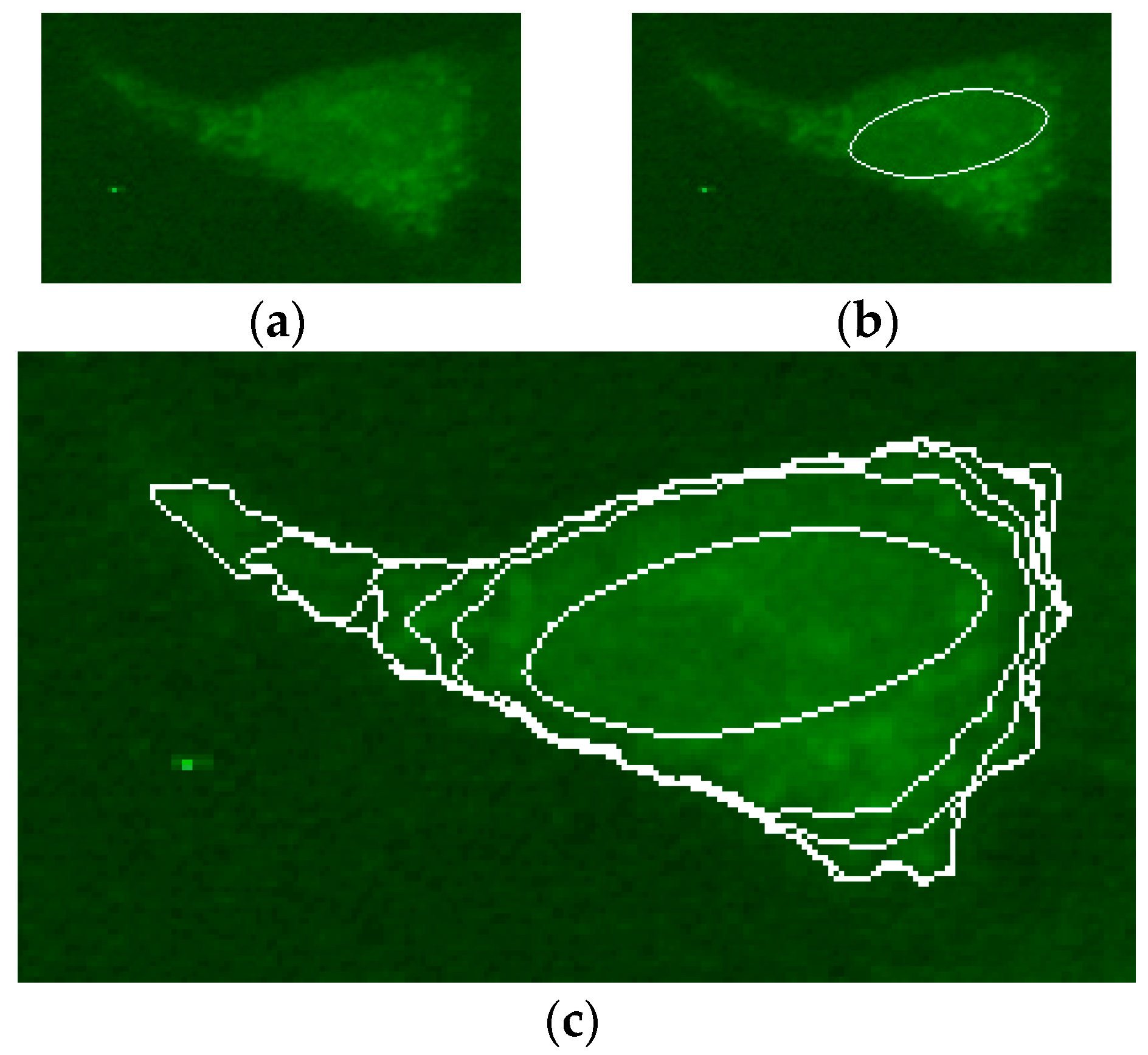 Applsci 09 00307 g005 Applsci 09 00307 g005