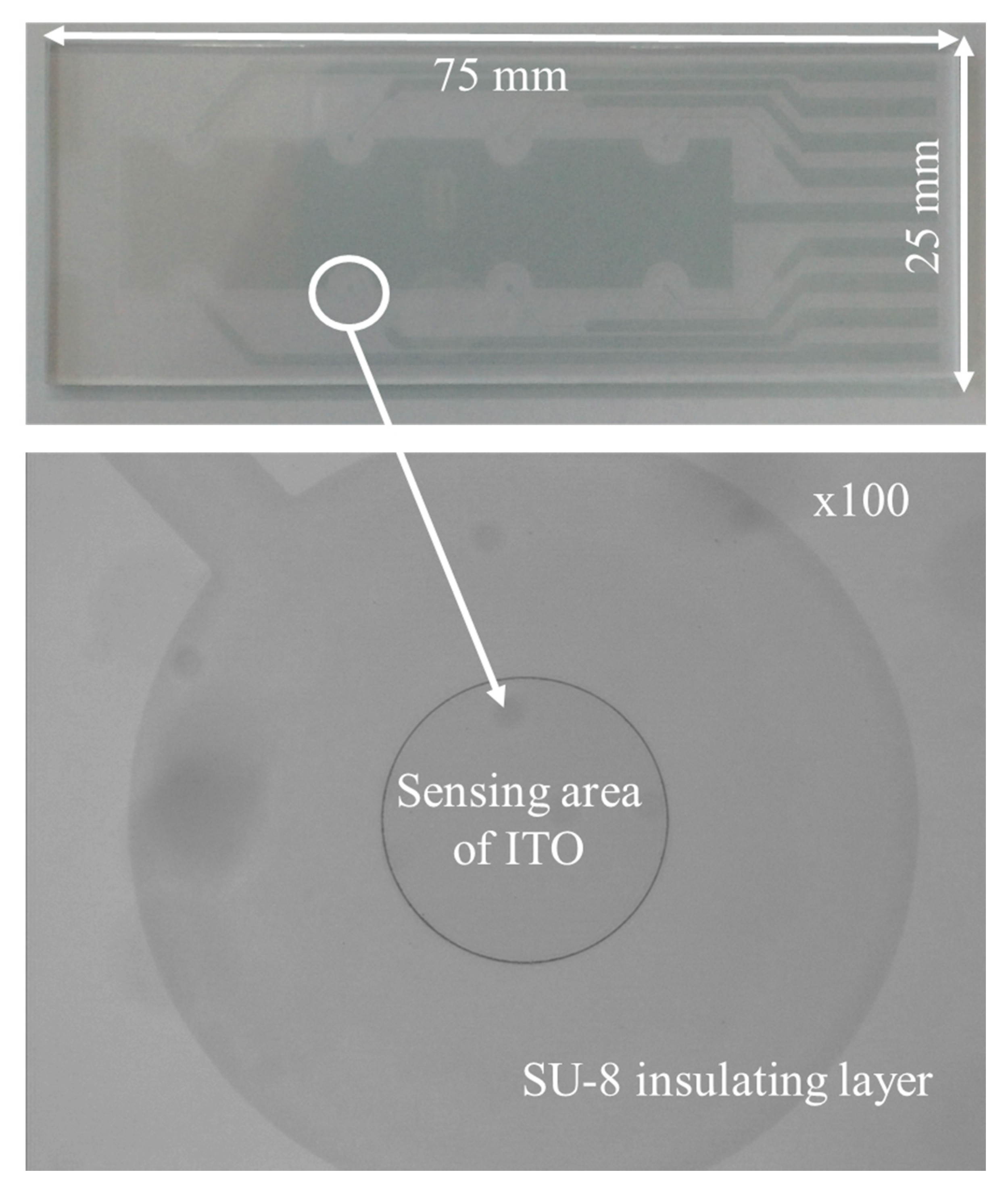 Applsci 09 00326 g001