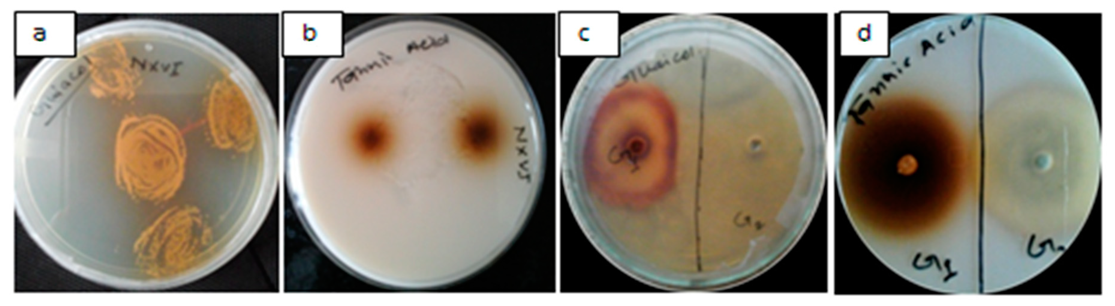 Applsci 09 00340 g001 Applsci 09 00340 g001