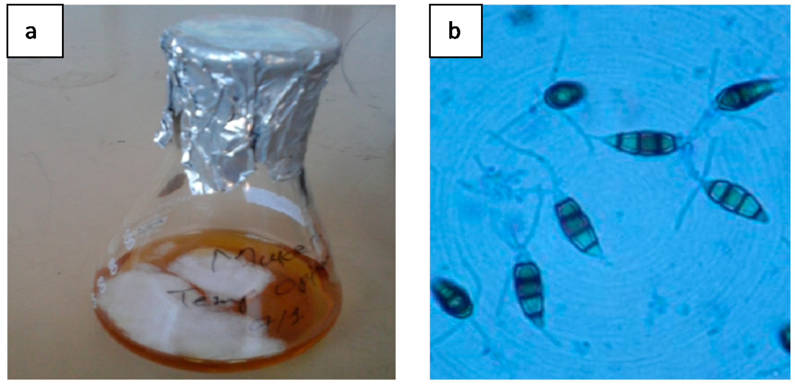 Applsci 09 00340 g002 Applsci 09 00340 g002