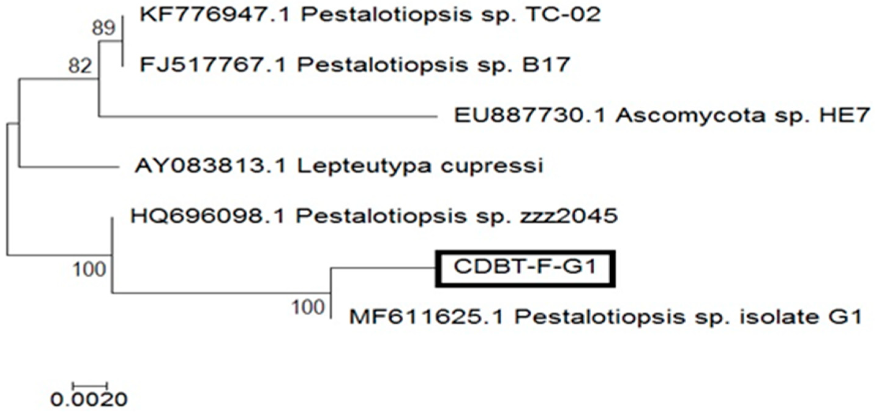 Applsci 09 00340 g004 Applsci 09 00340 g004