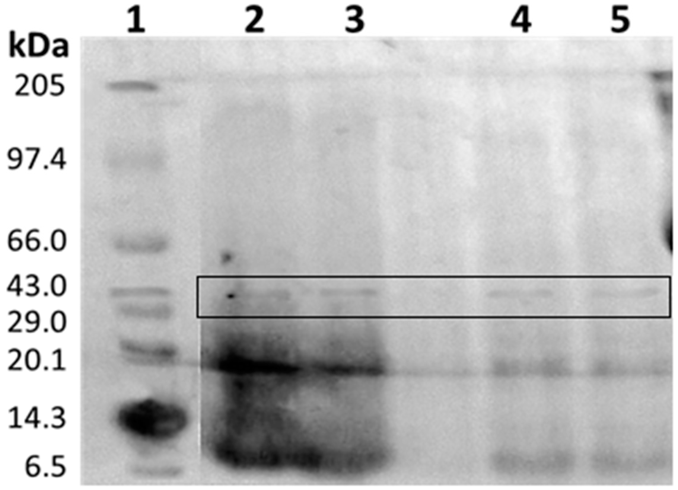 Applsci 09 00340 g007 Applsci 09 00340 g007