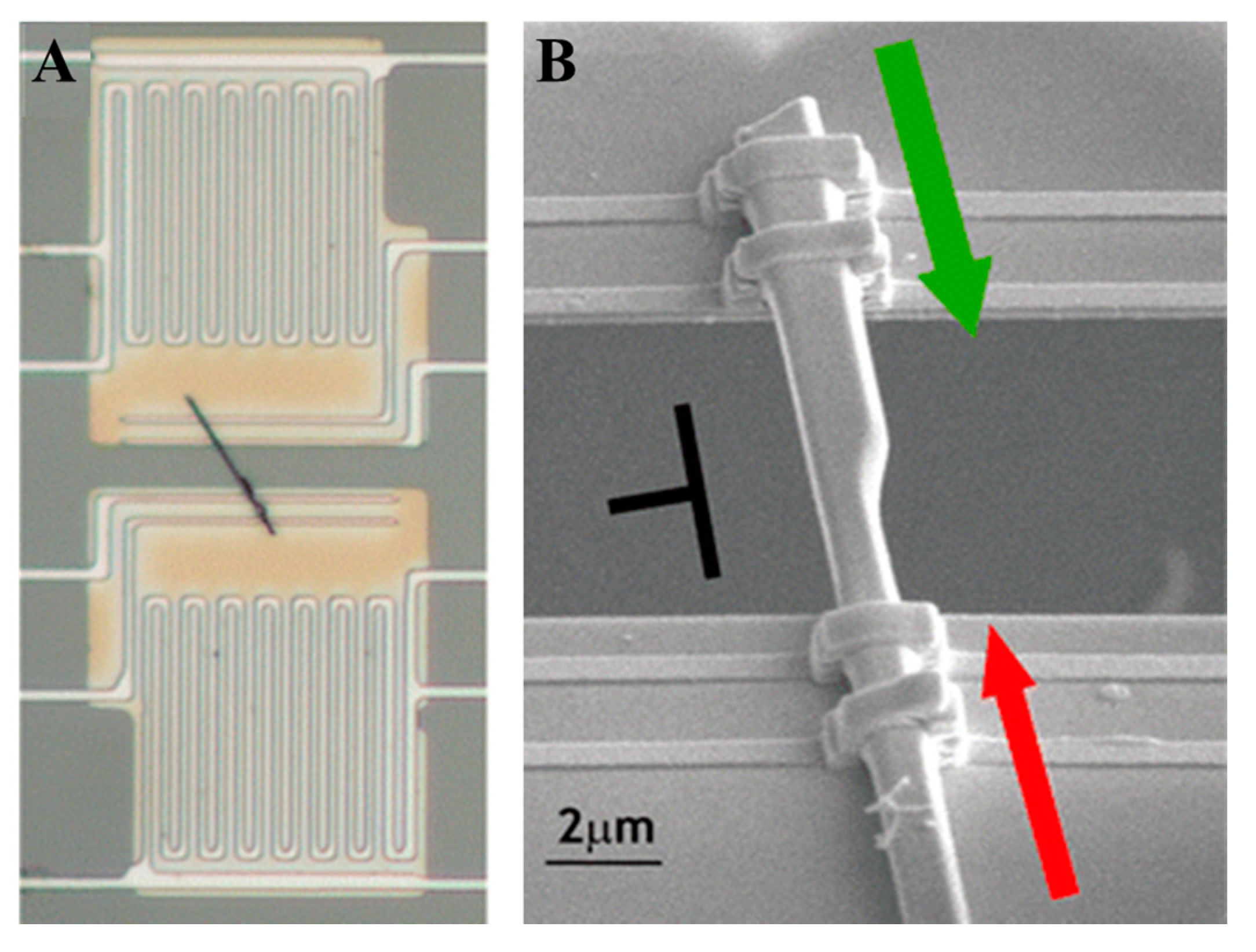Applsci 09 00344 g008