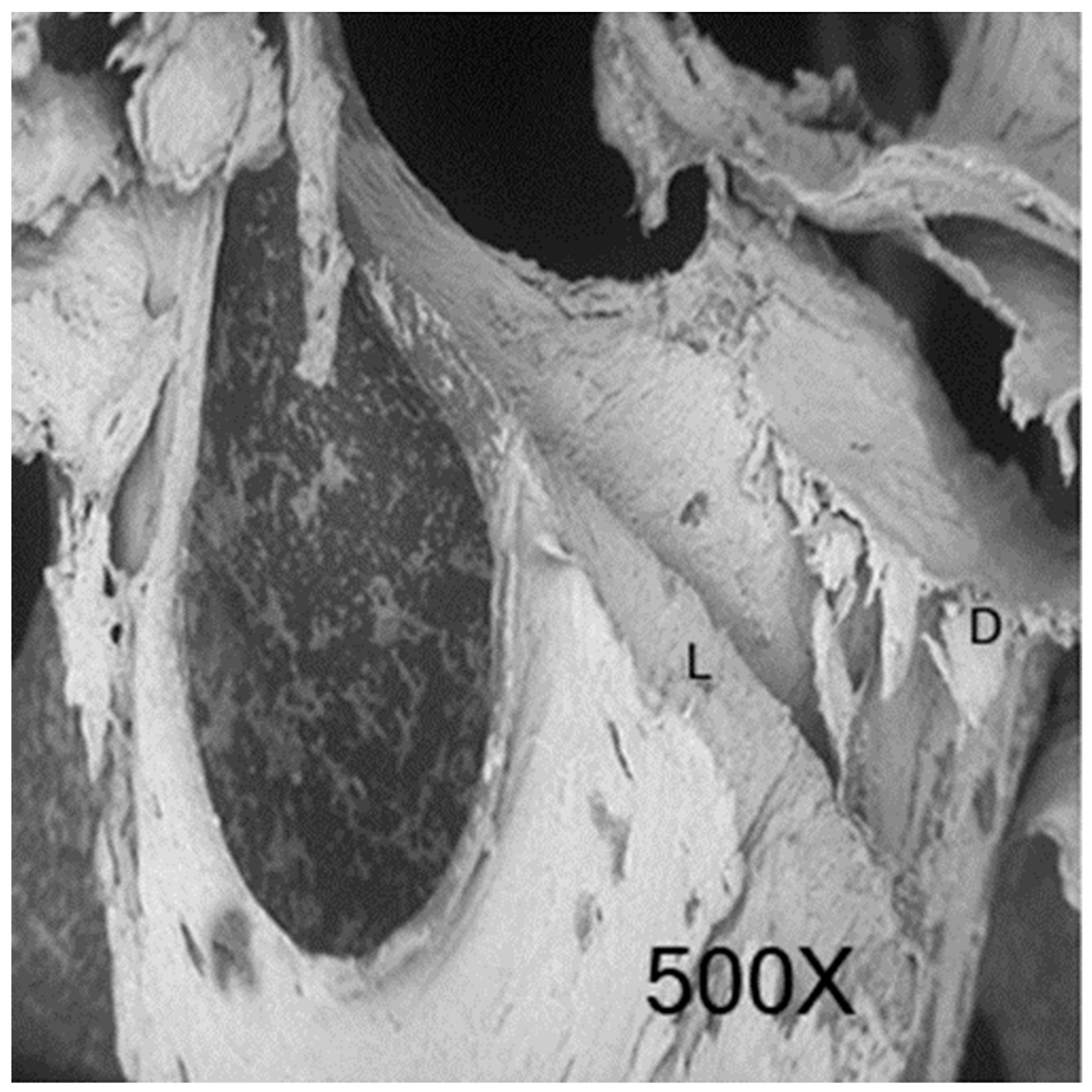 Applsci 09 00351 g001
