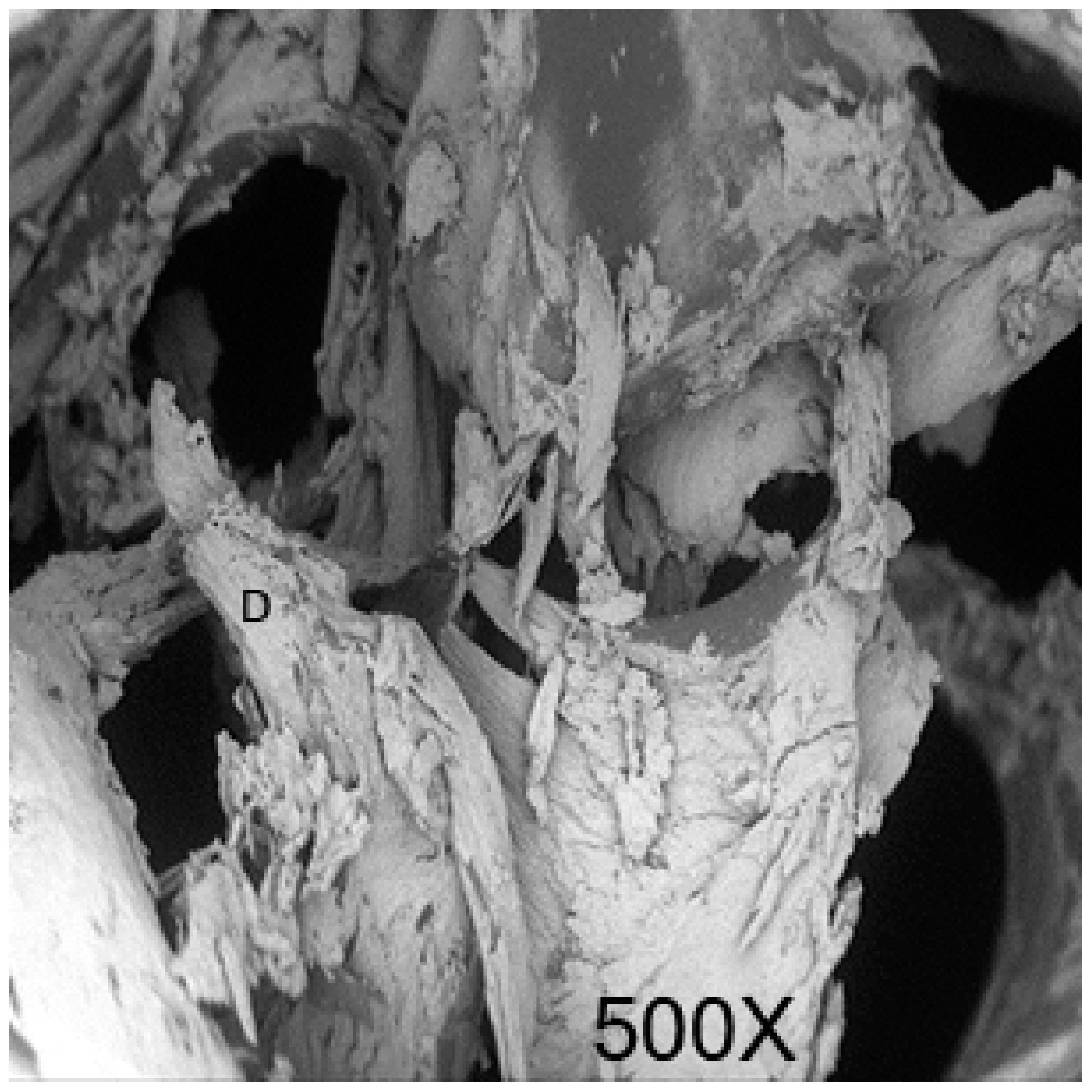 Applsci 09 00351 g002