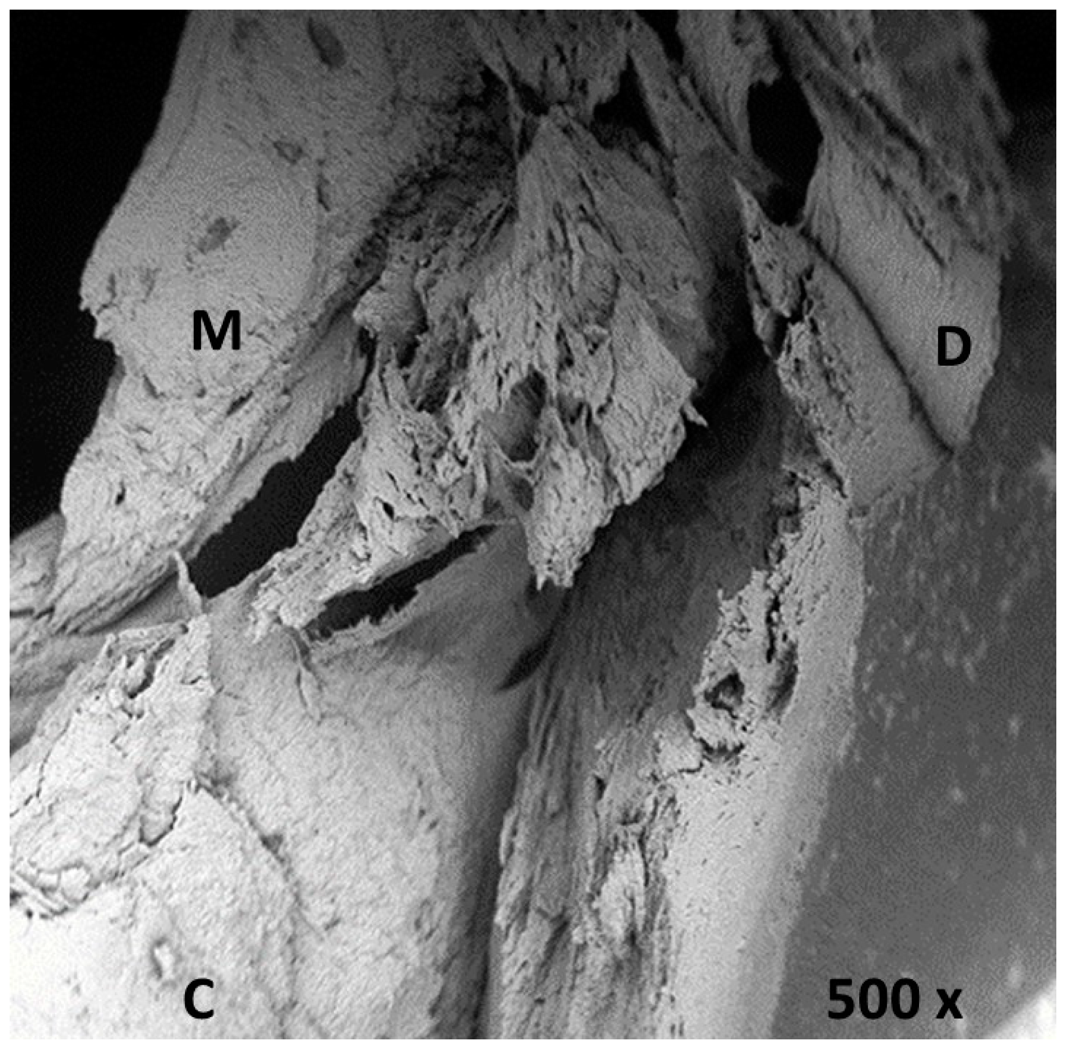Applsci 09 00351 g003