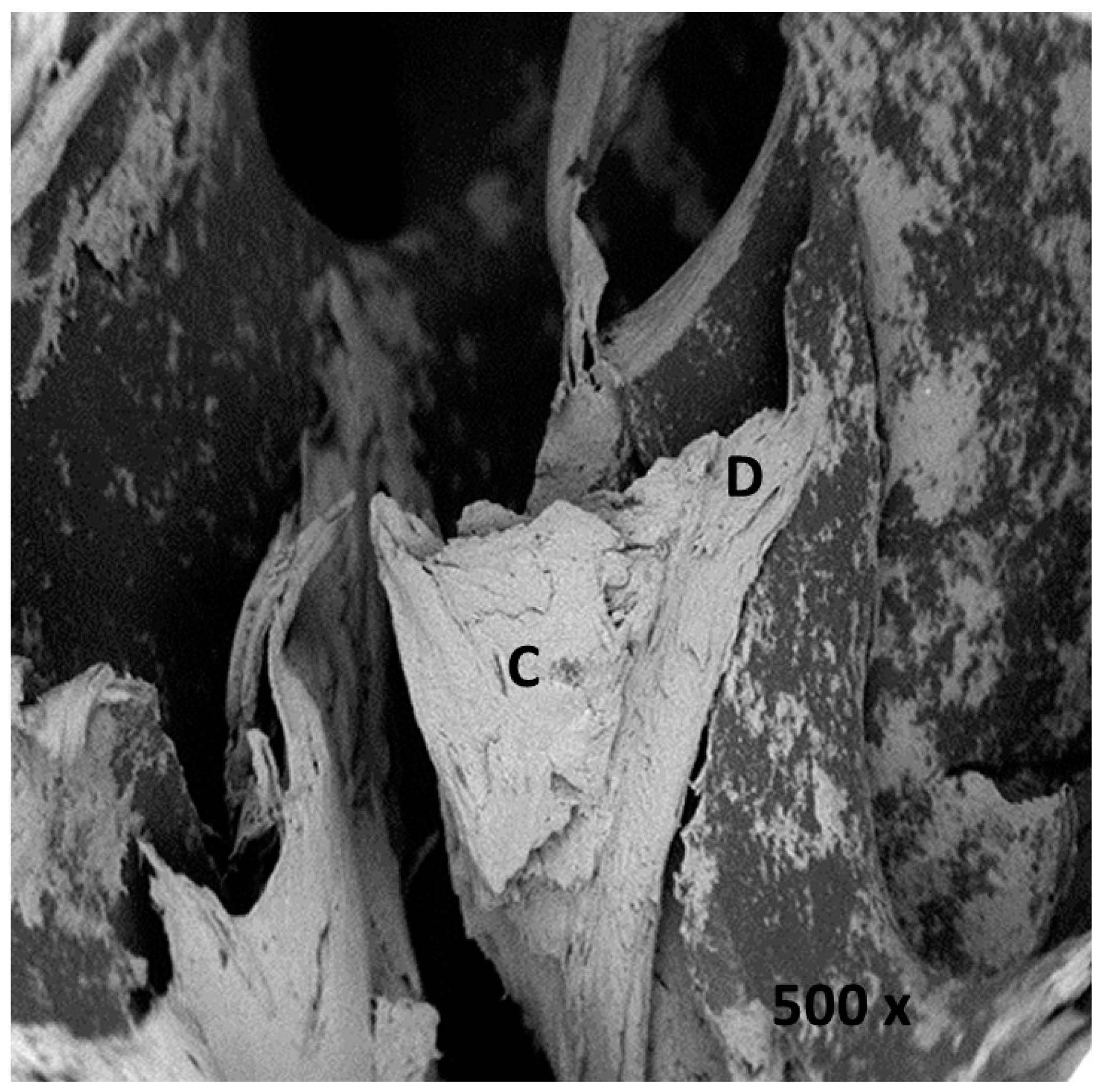Applsci 09 00351 g004