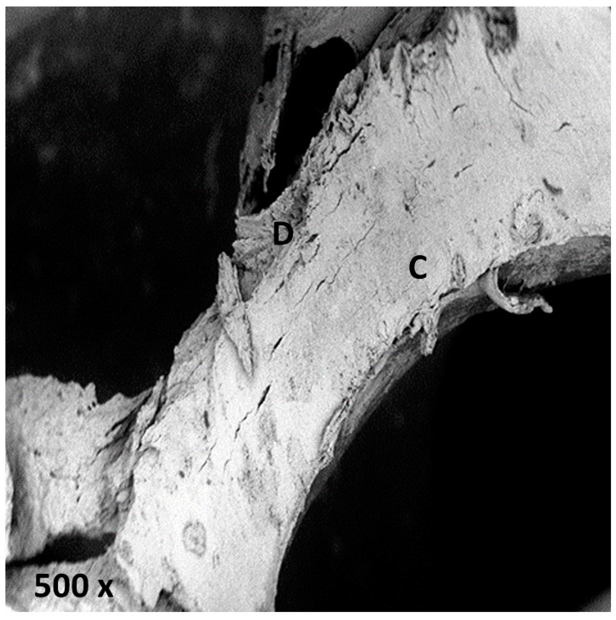 Applsci 09 00351 g005