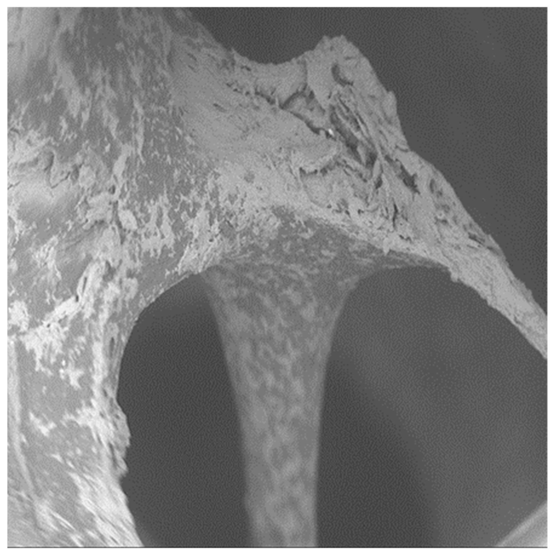 Applsci 09 00351 g006
