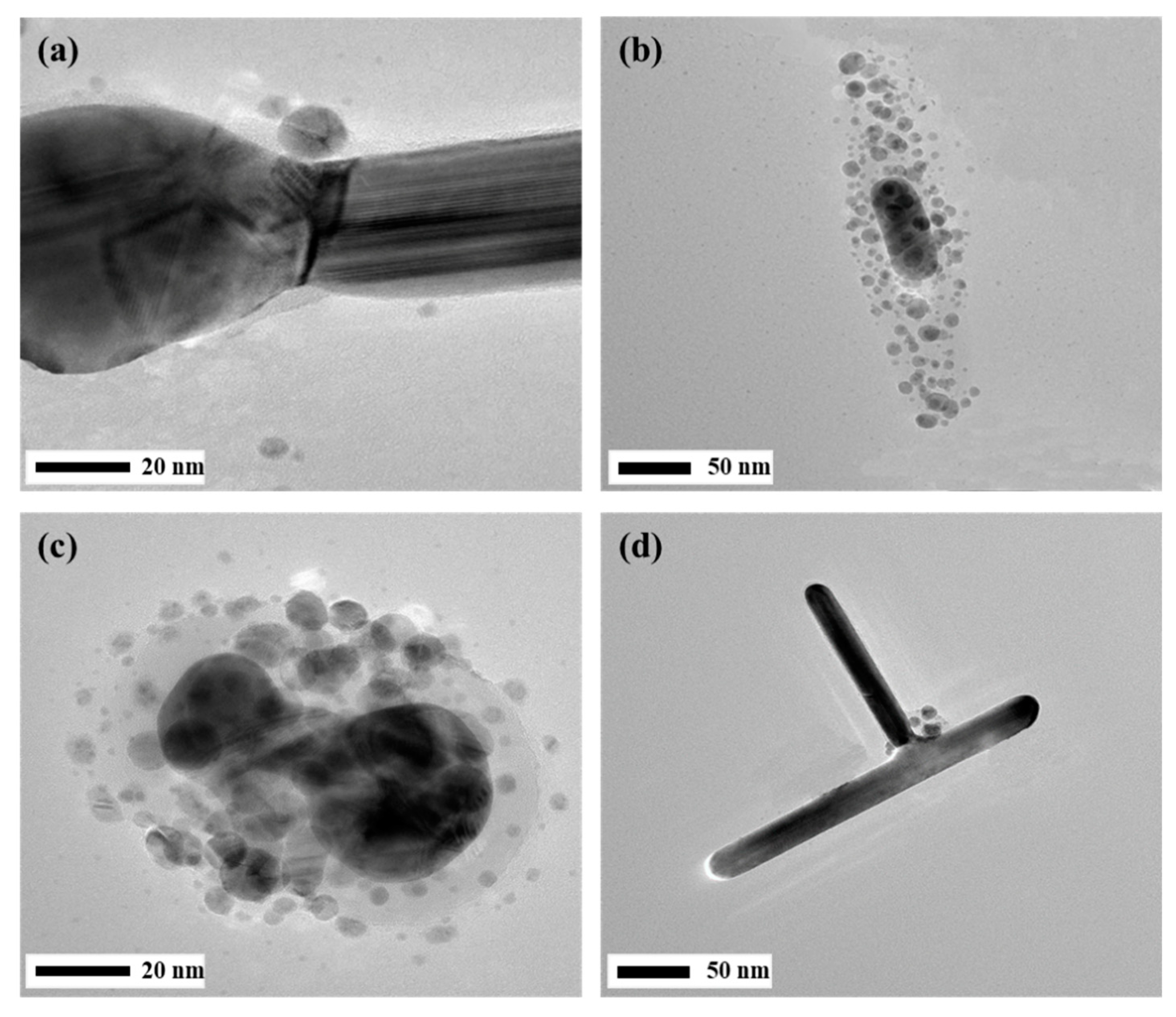 Applsci 09 00363 g002