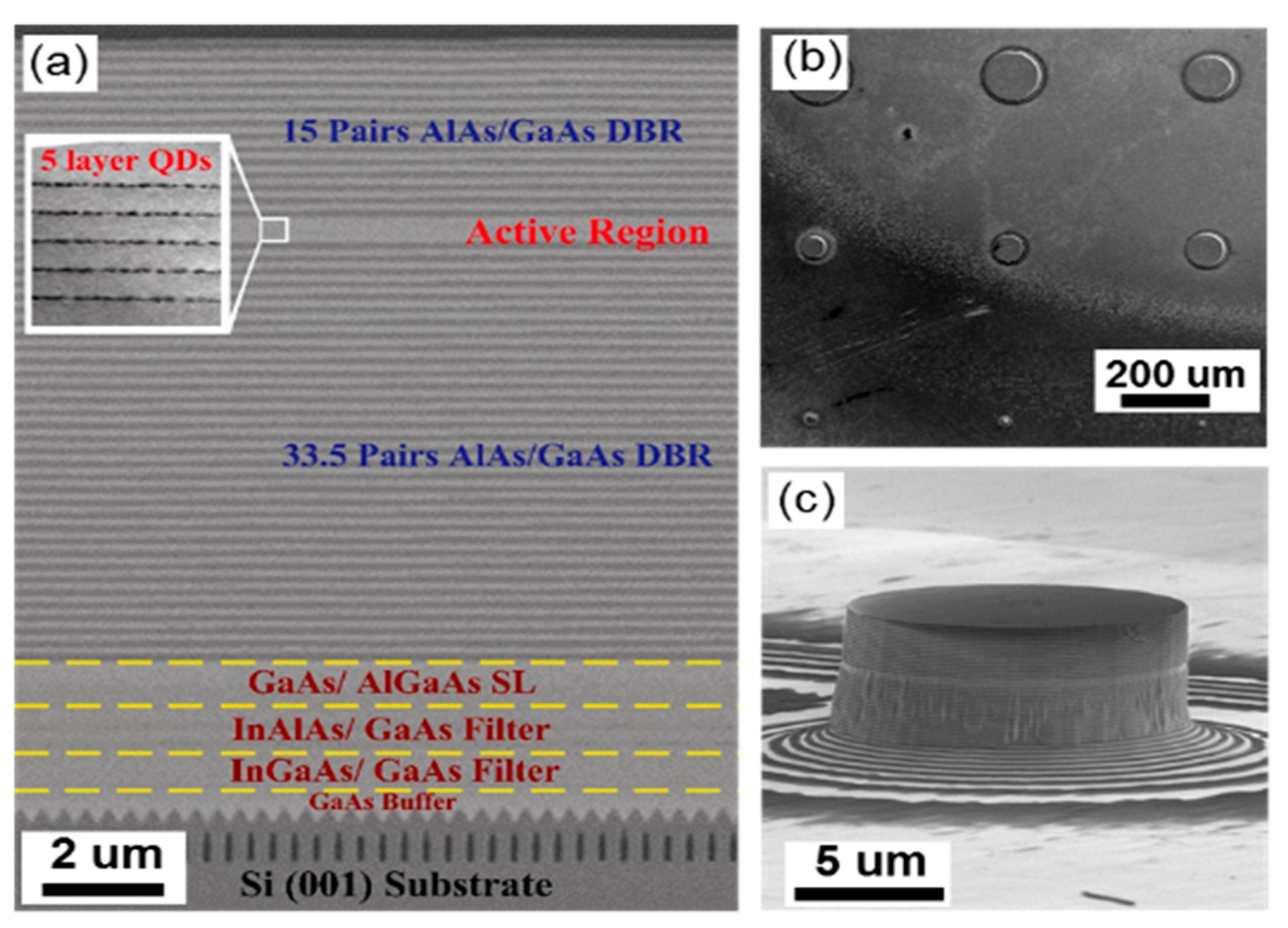 Applsci 09 00385 g006 Applsci 09 00385 g006