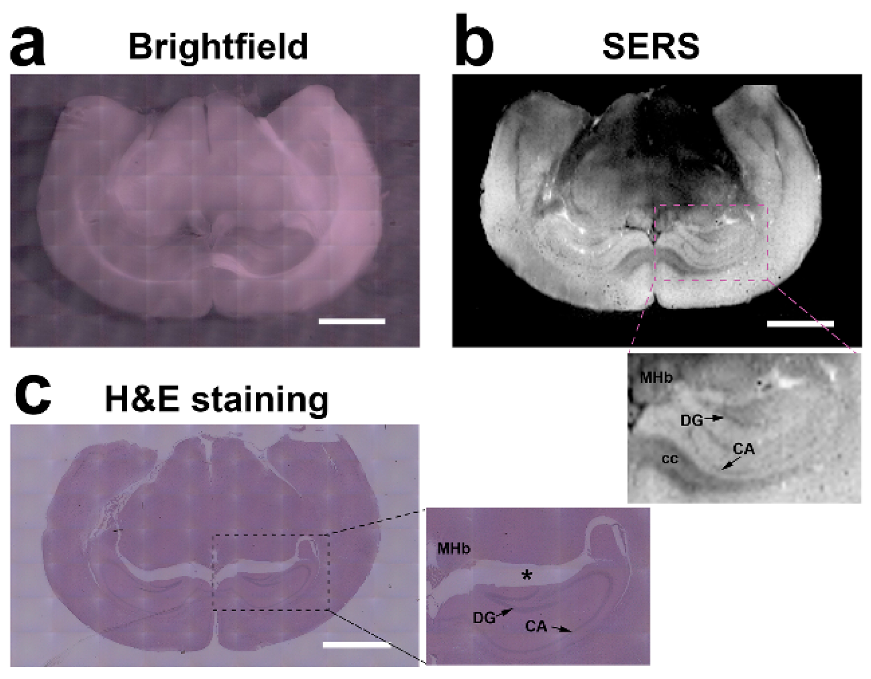 Applsci 09 00398 g005