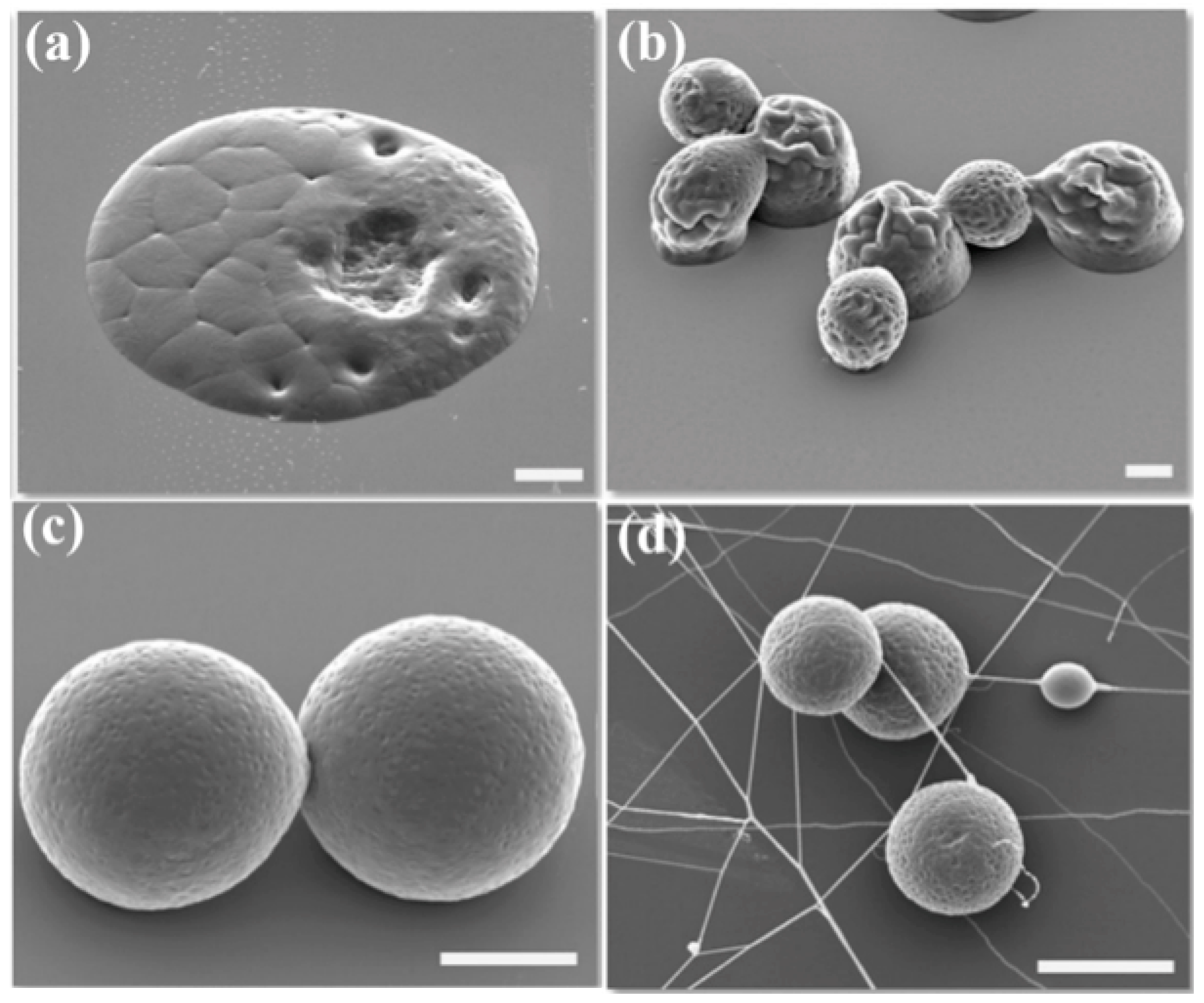 Applsci 09 00402 g006