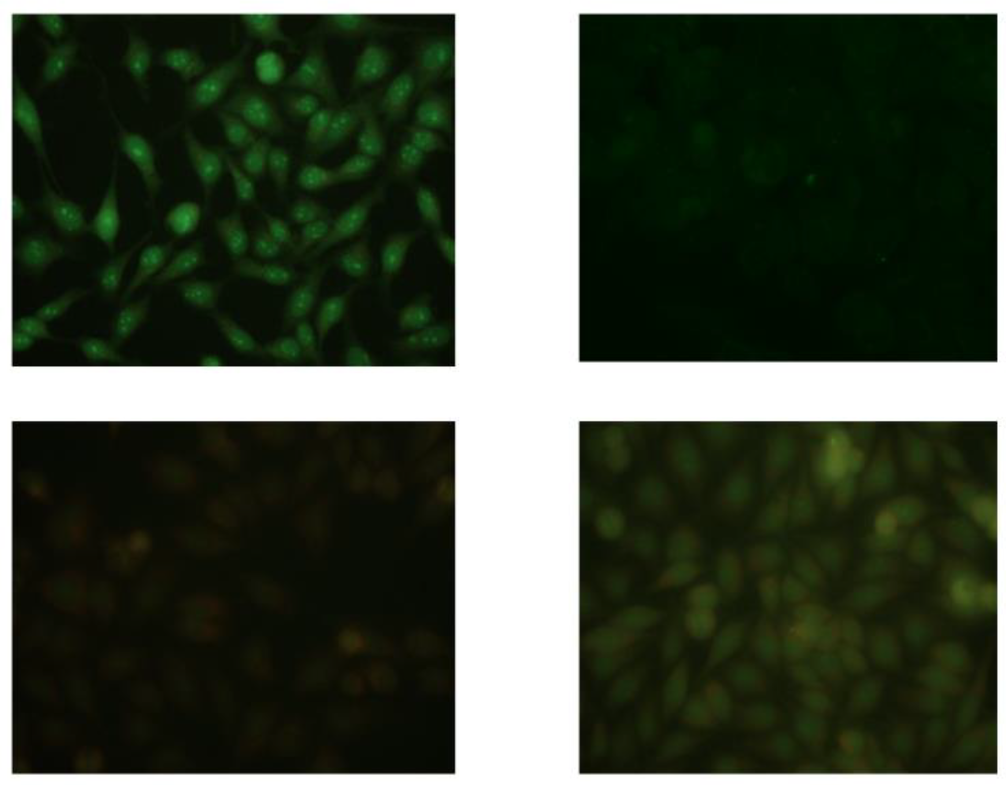 Applsci 09 00408 g001