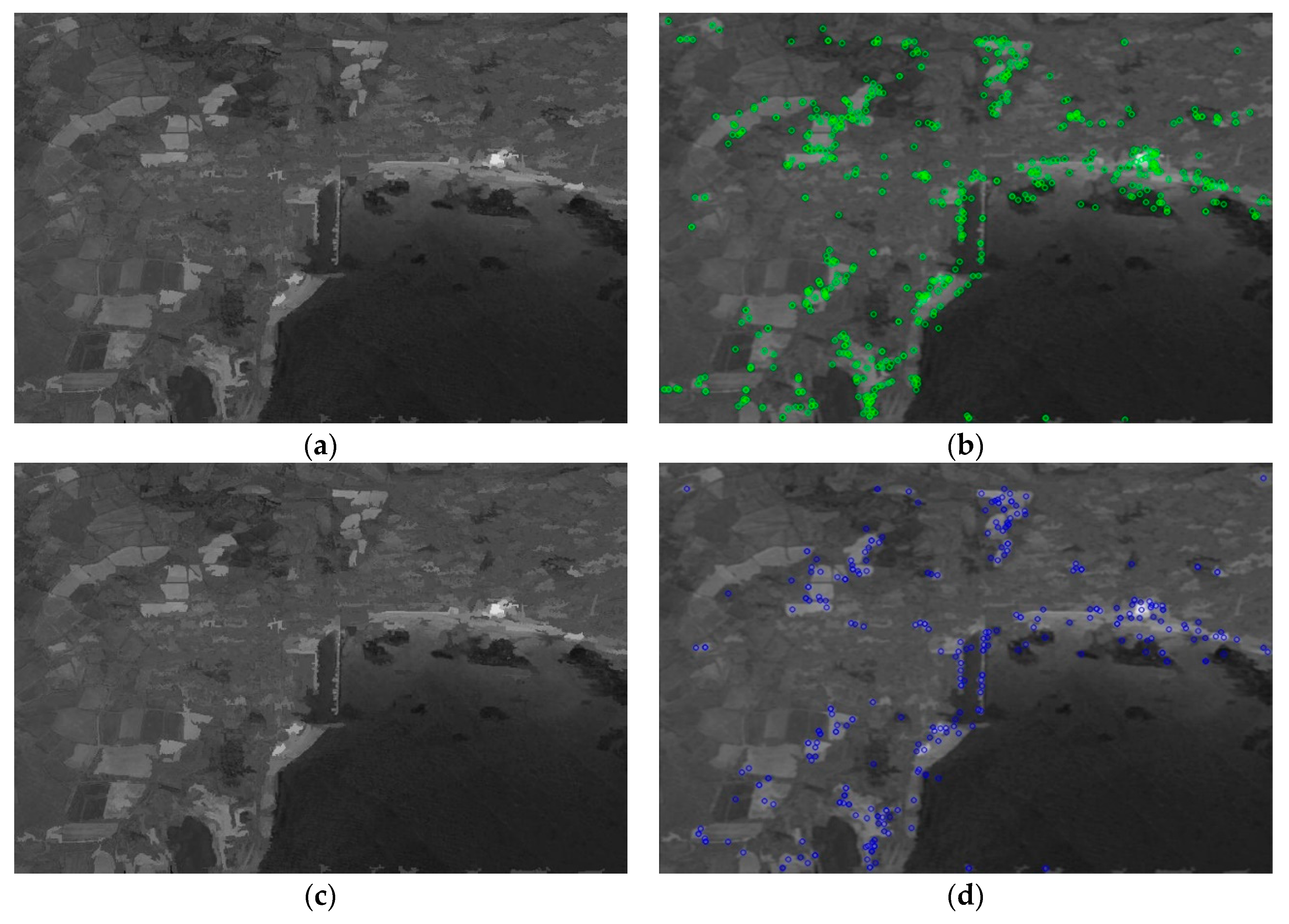 Applsci 09 00420 g004