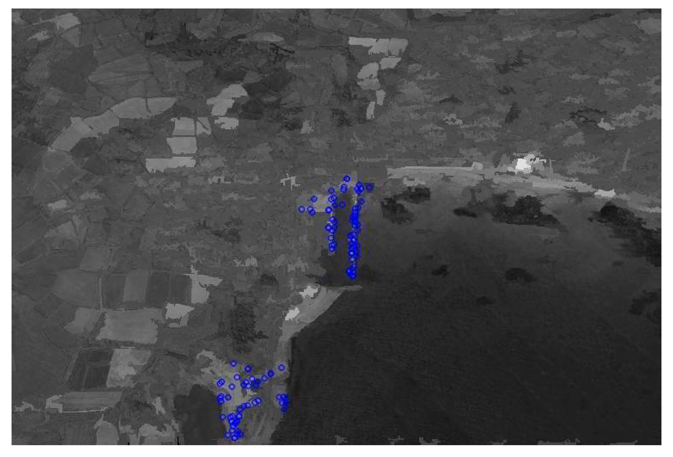 Applsci 09 00420 g006