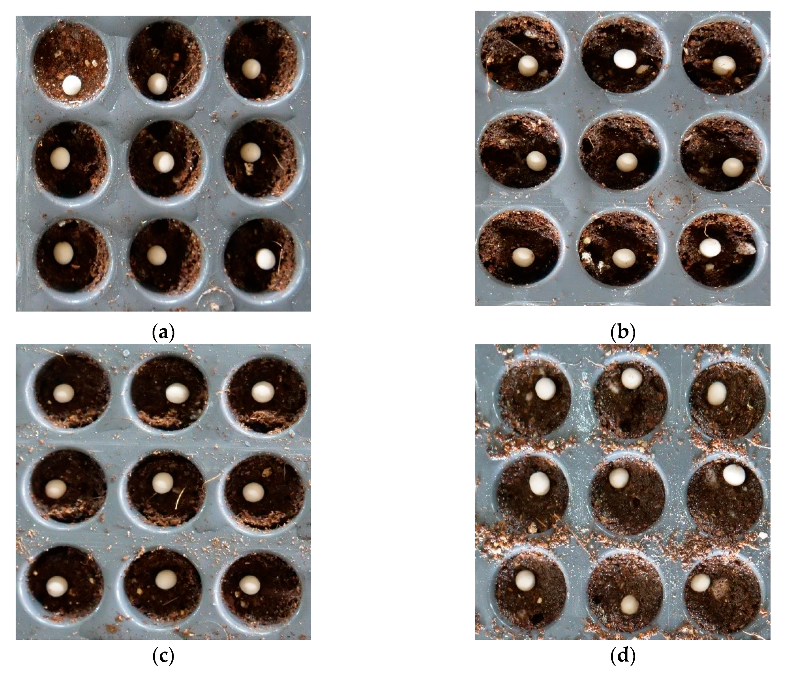 Applsci 09 00430 g012 550