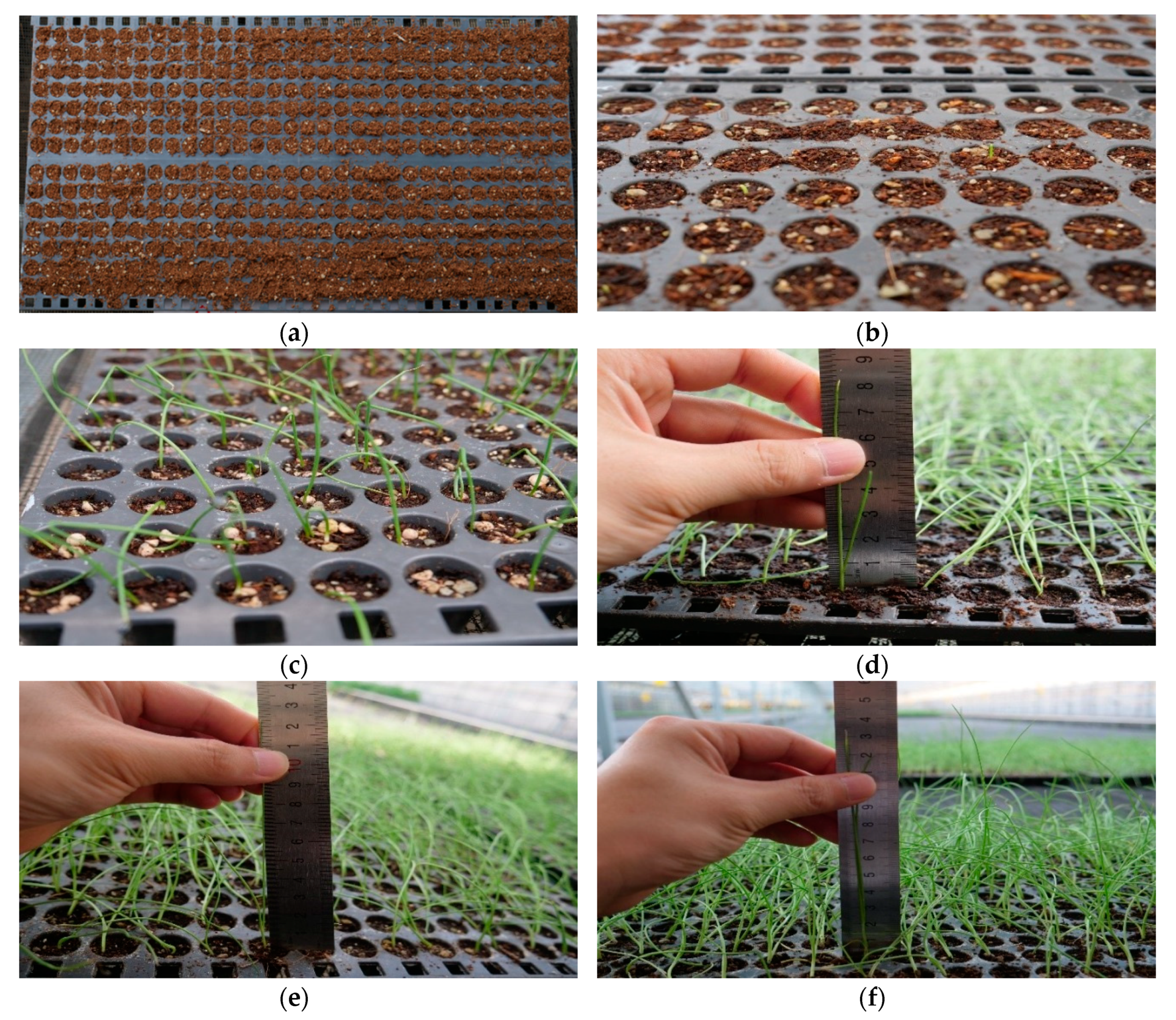 Applsci 09 00430 g013a 550