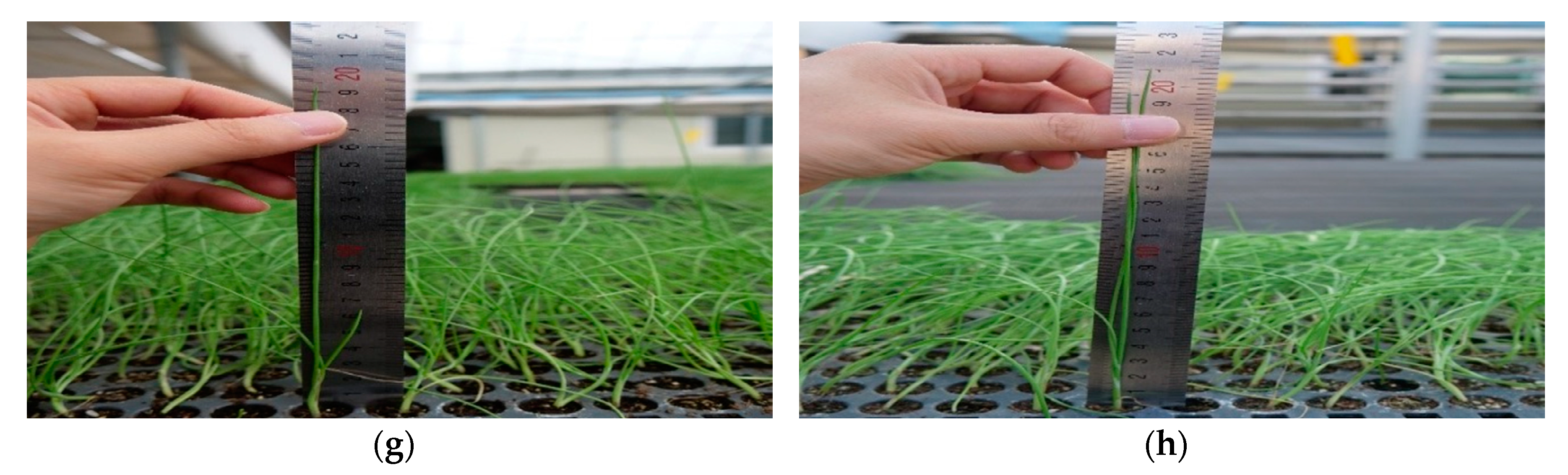 Applsci 09 00430 g013b 550