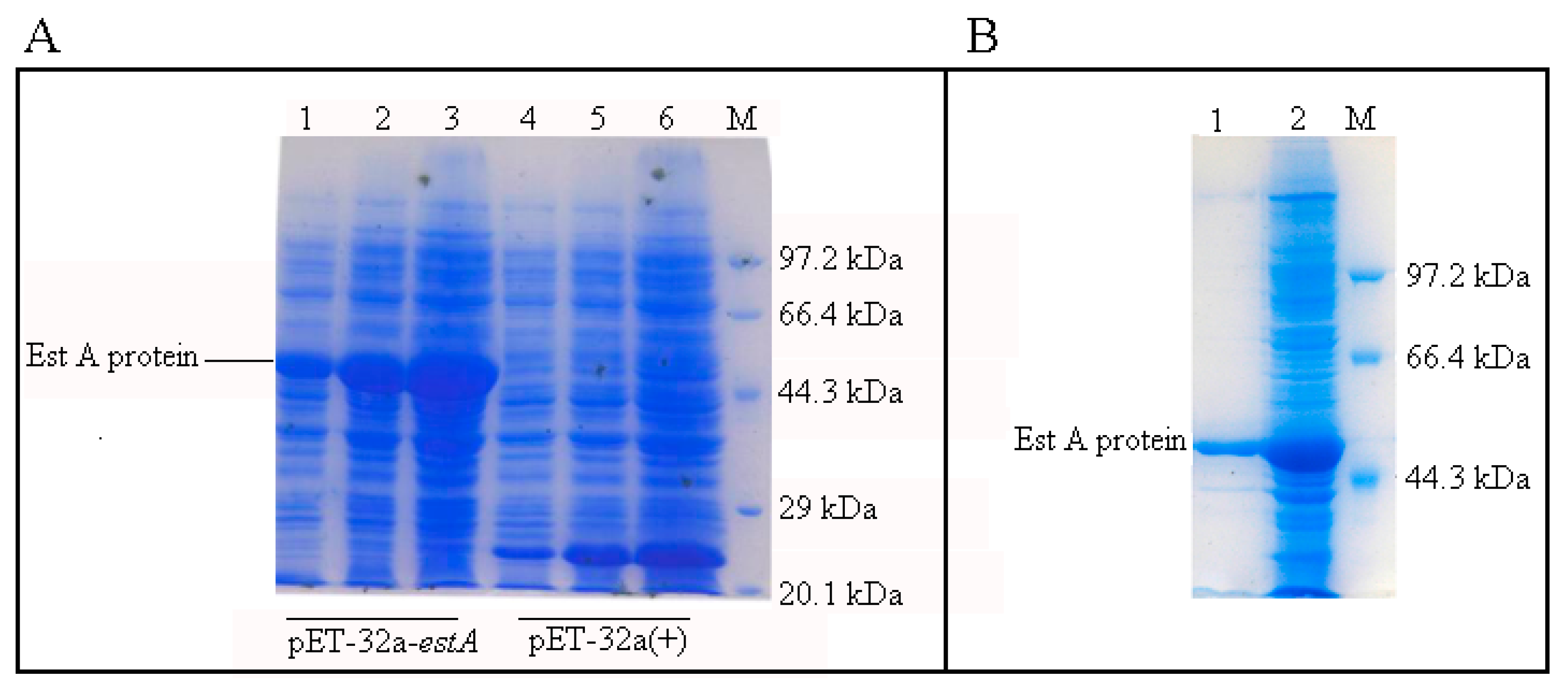 Applsci 09 00477 g004