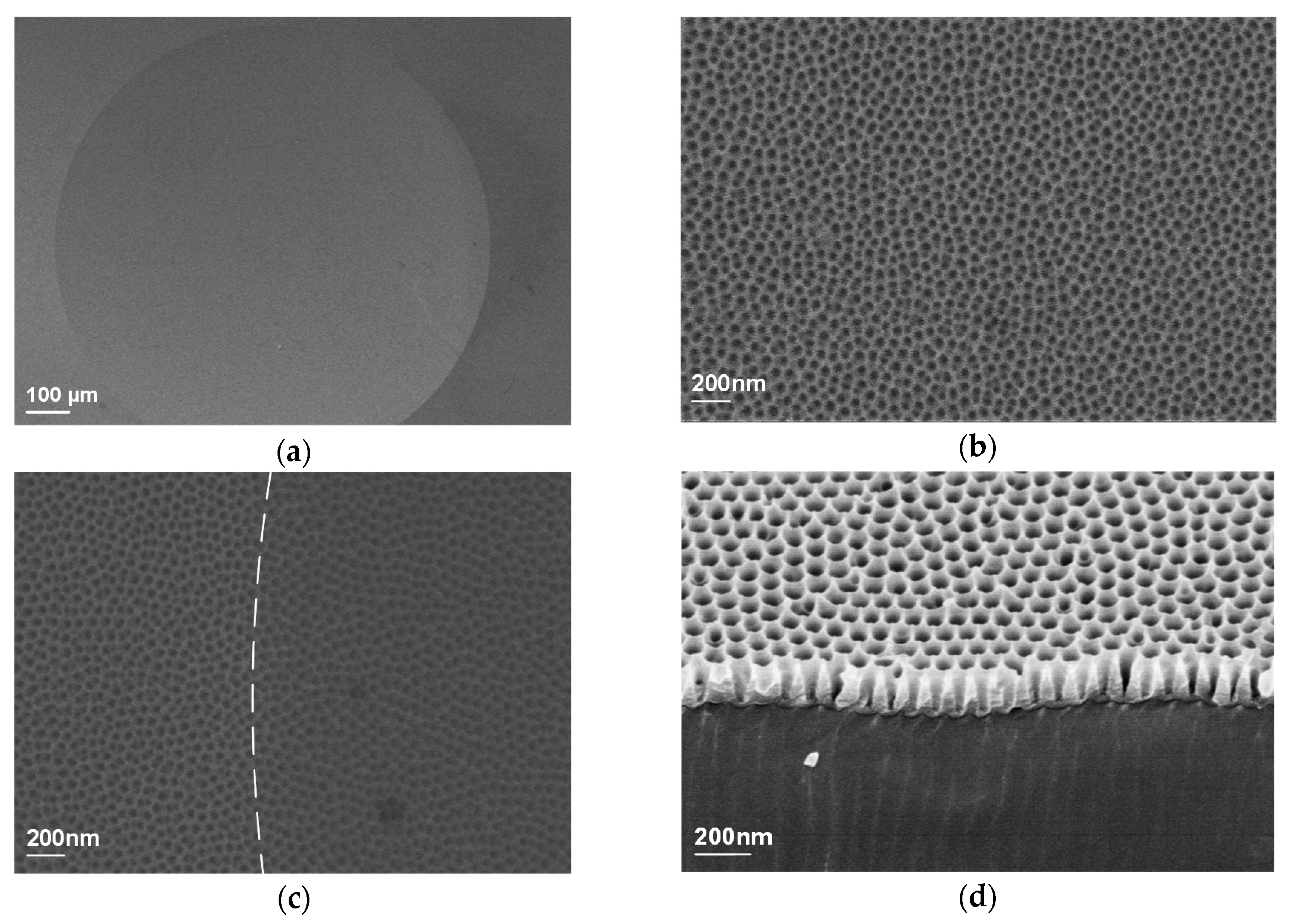 Applsci 09 00487 g007 550