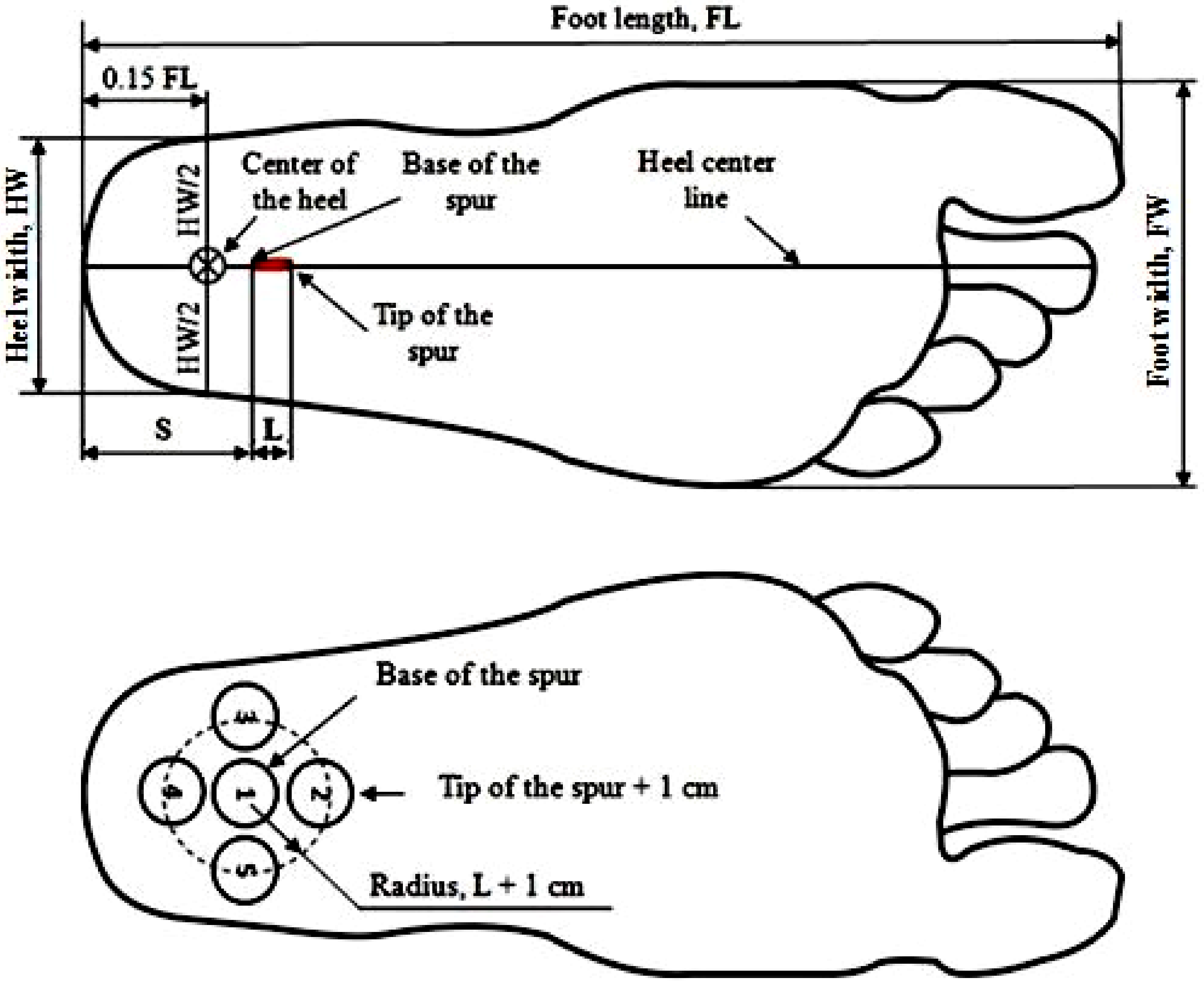 Heel width sale