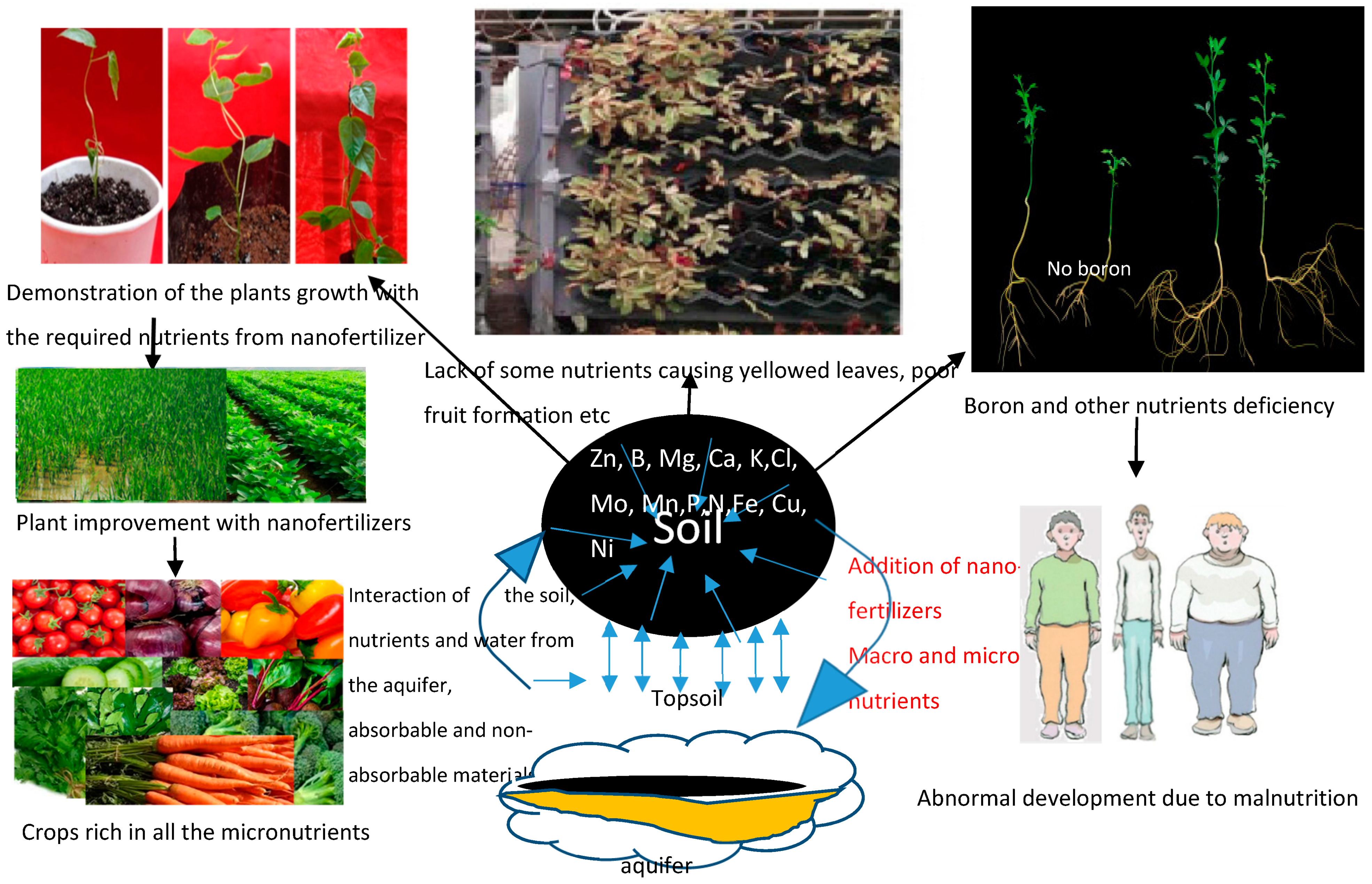 Applsci 09 00499 g002