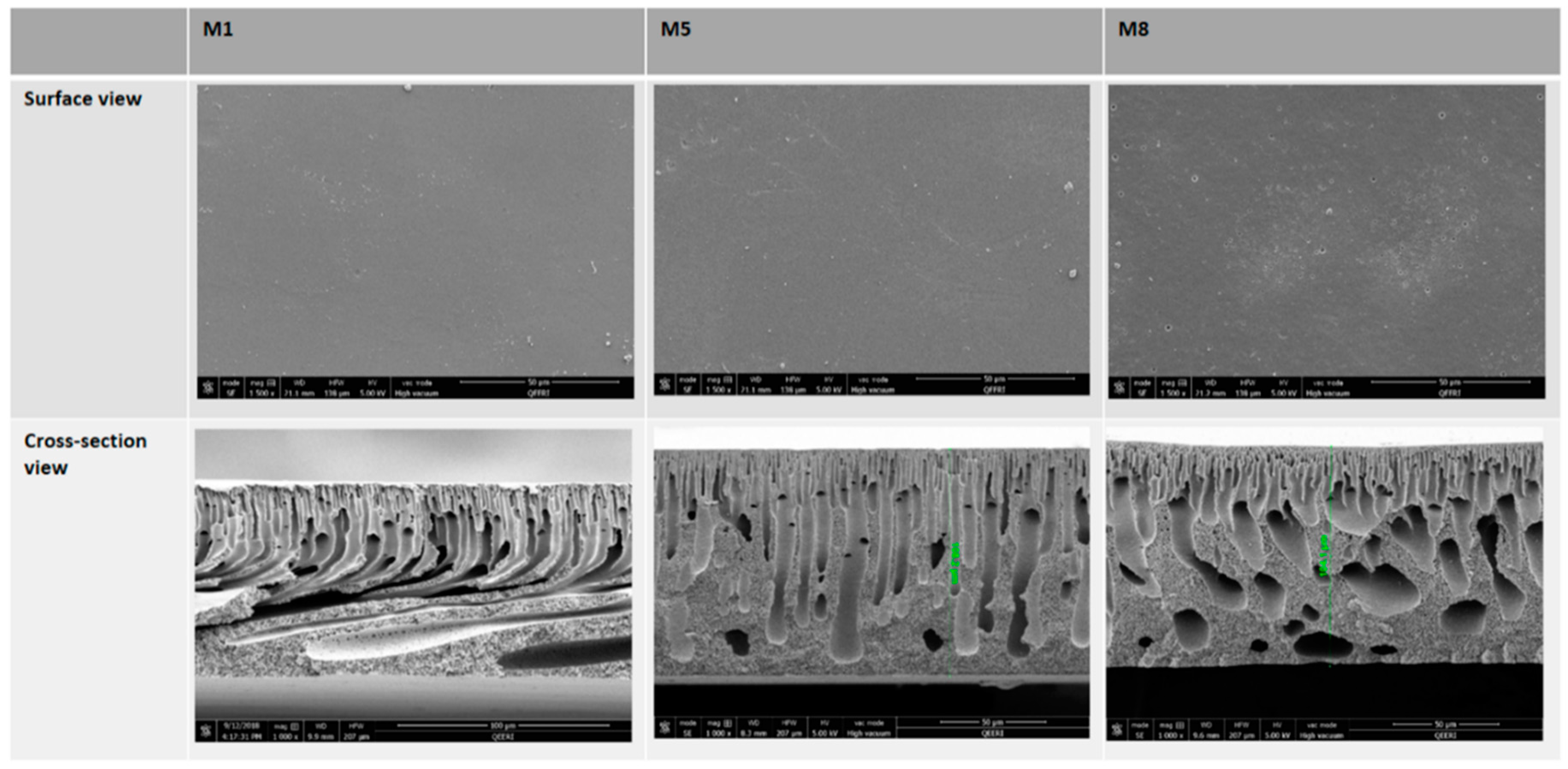 Applsci 09 00513 g004 Applsci 09 00513 g004