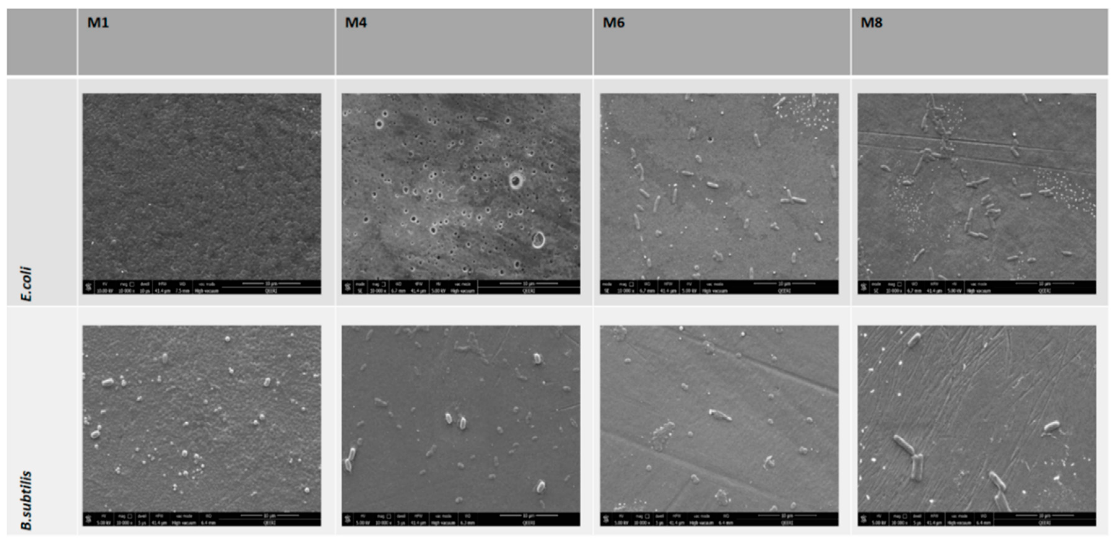 Applsci 09 00513 g012 Applsci 09 00513 g012