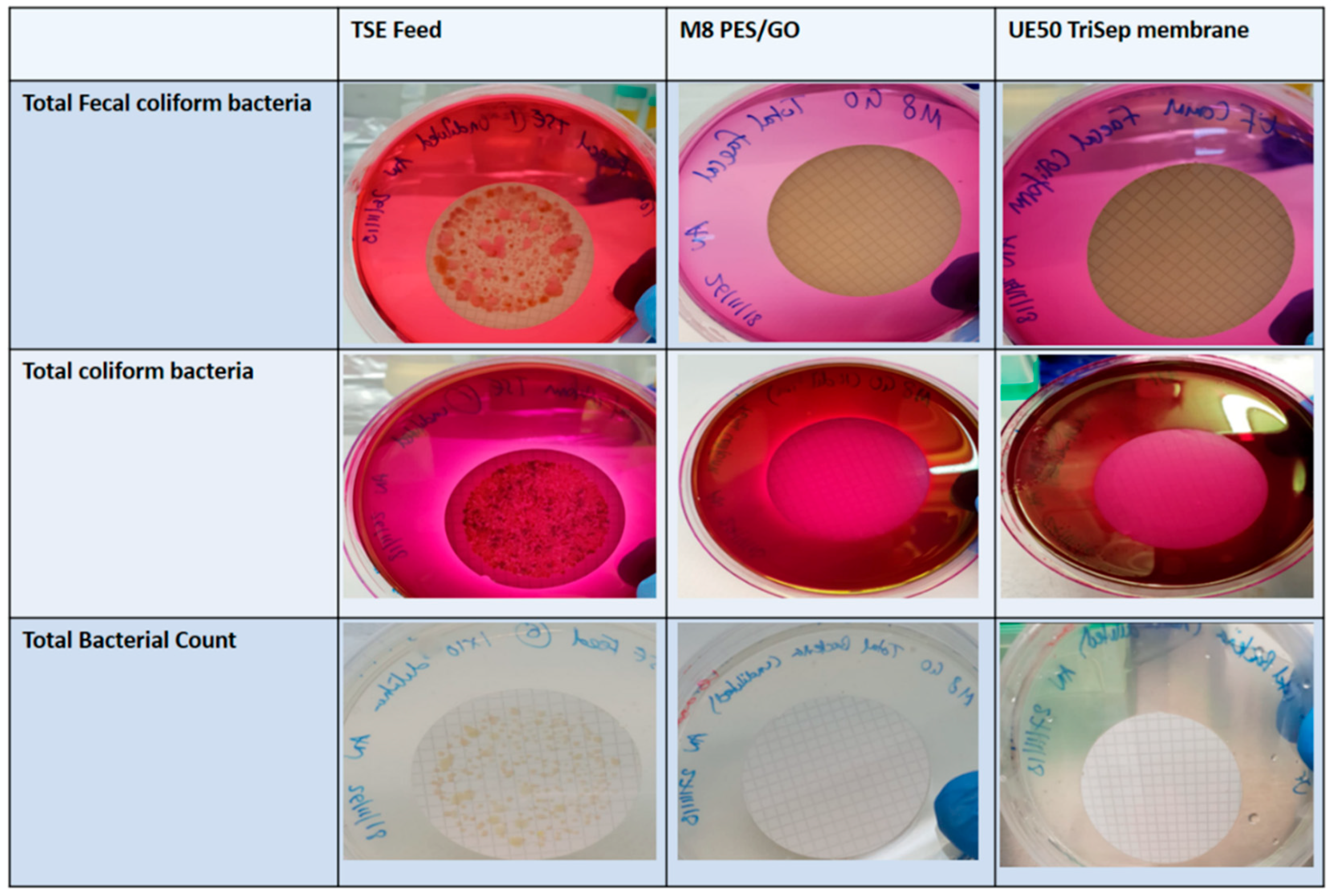 Applsci 09 00513 g016 Applsci 09 00513 g016