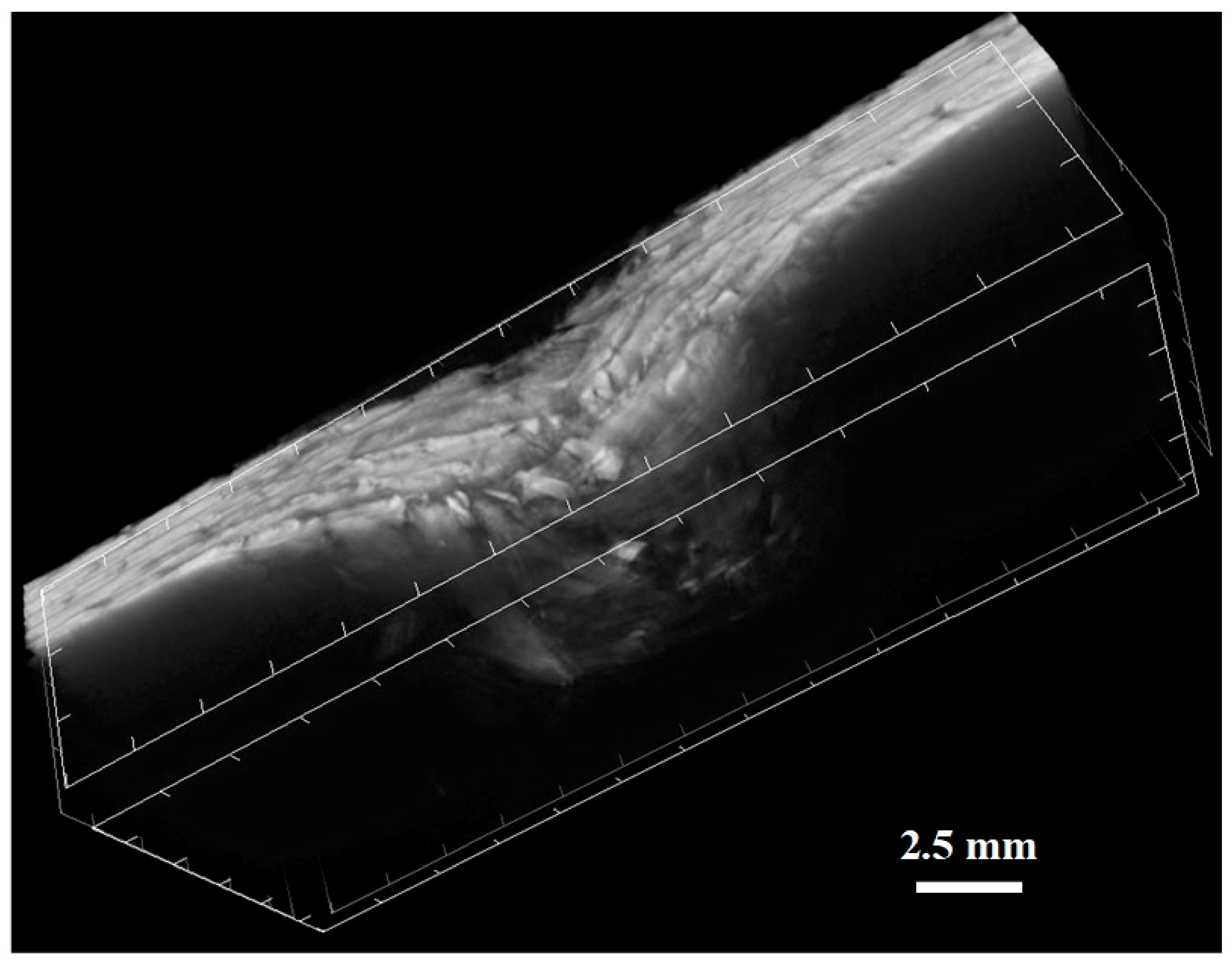 Applsci 09 00516 g008