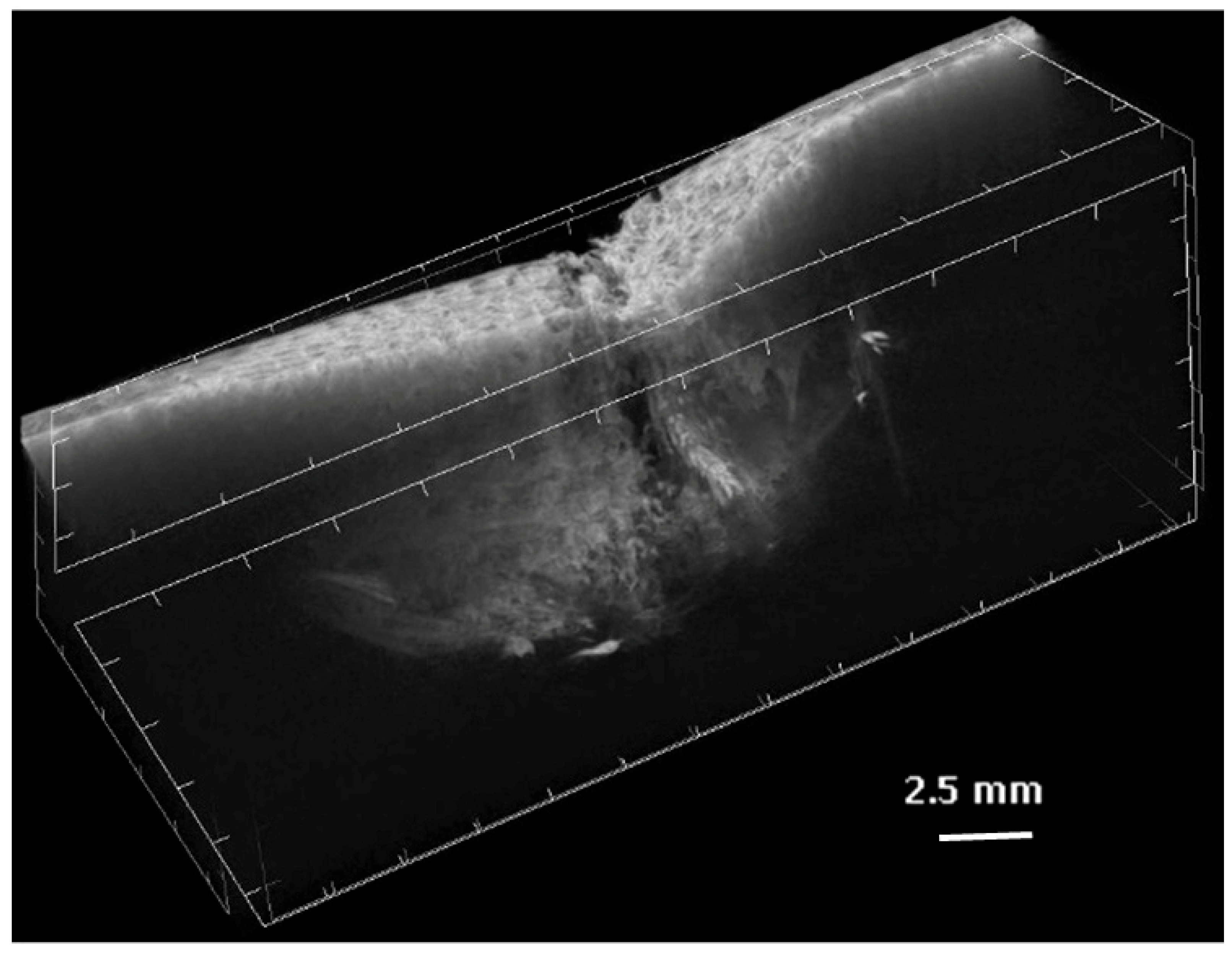 Applsci 09 00516 g011