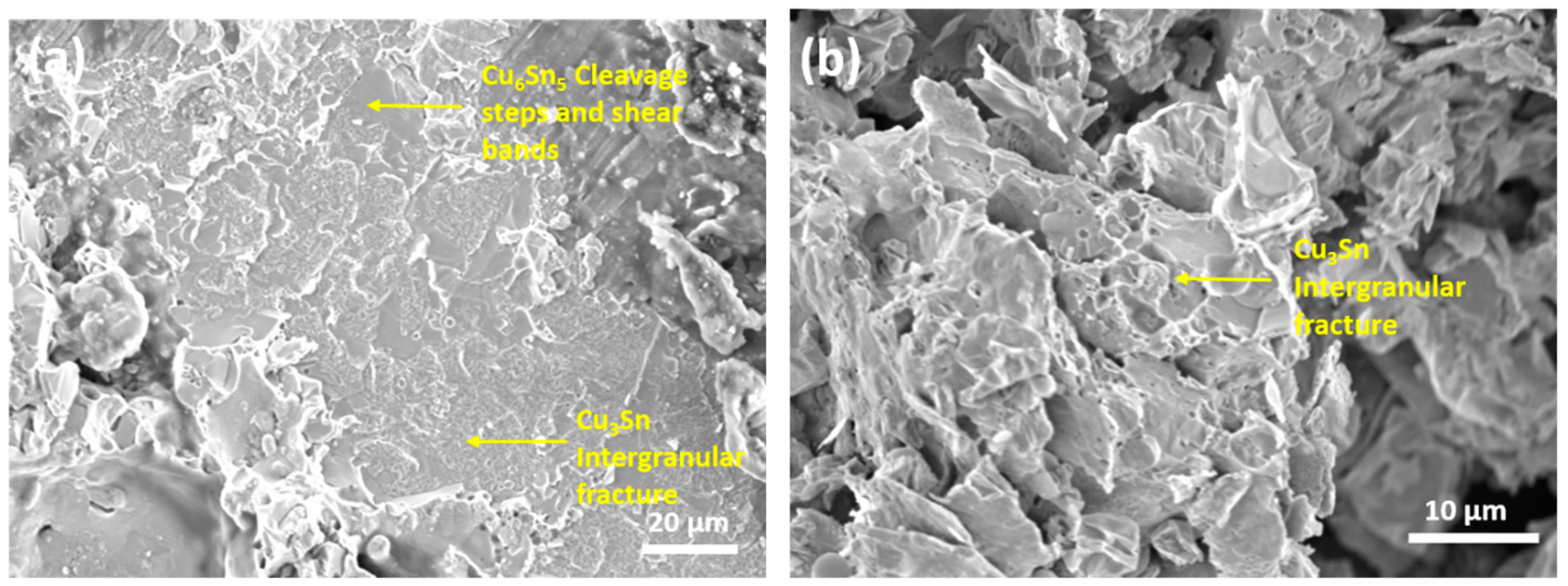 Applsci 09 00529 g006