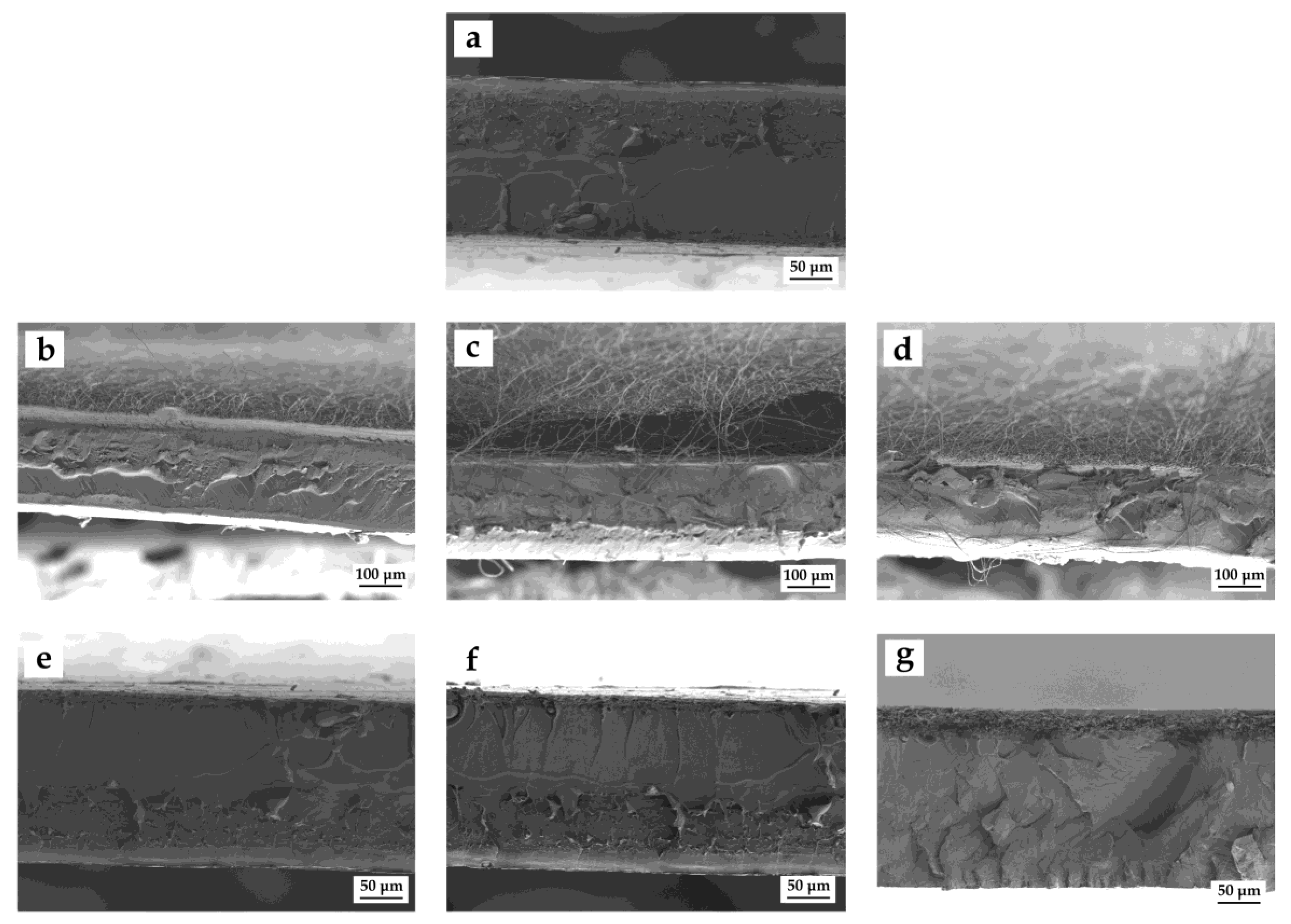 Applsci 09 00533 g002 Applsci 09 00533 g002