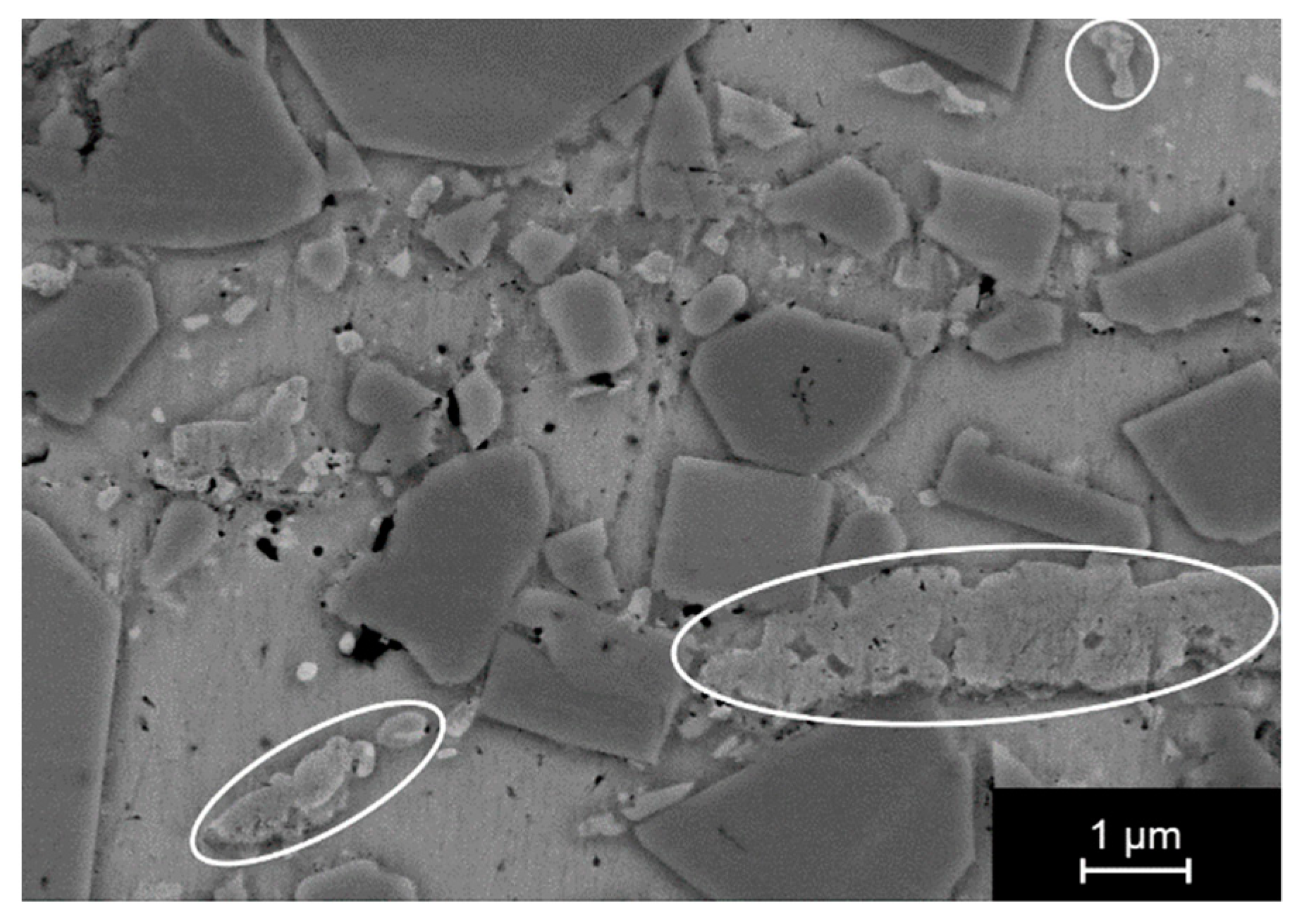 Applsci 09 00539 g013