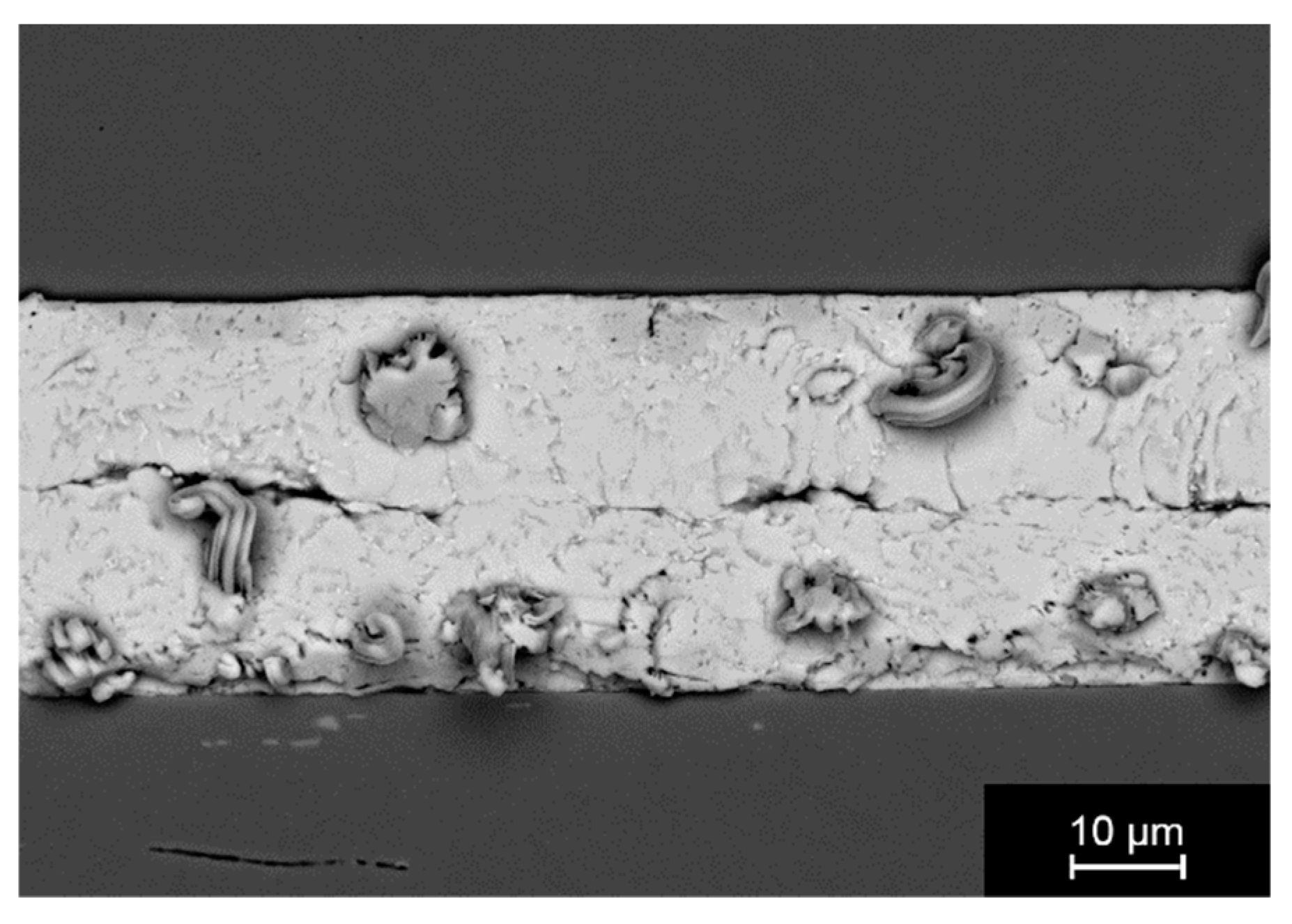 Applsci 09 00539 g019