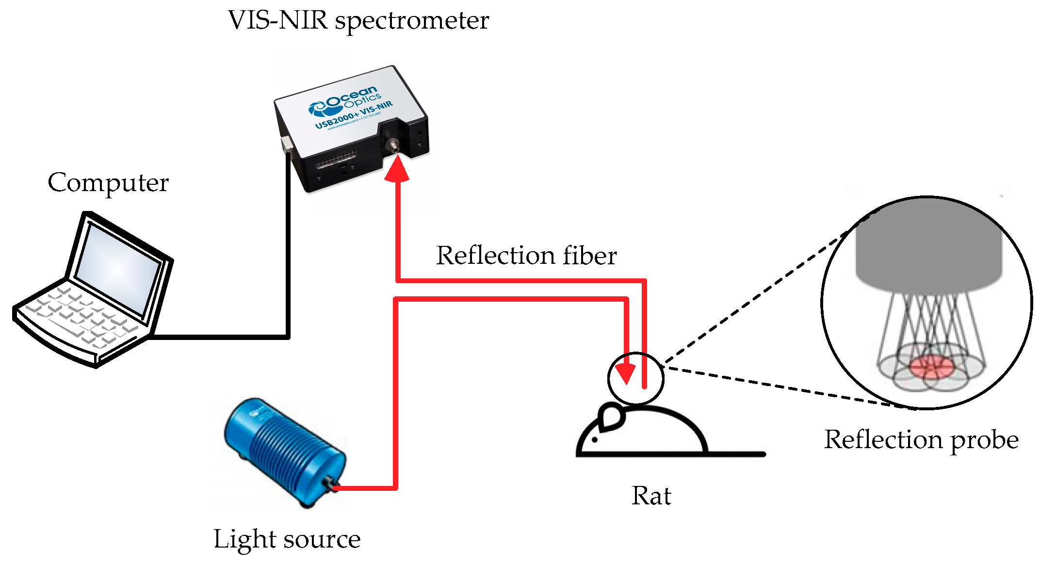 Applsci 09 00542 g001 Applsci 09 00542 g001