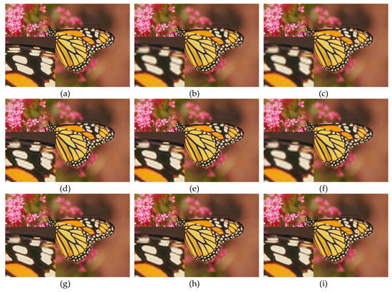 Learning Weighted Forest and Similar Structure for Image Super Resolution