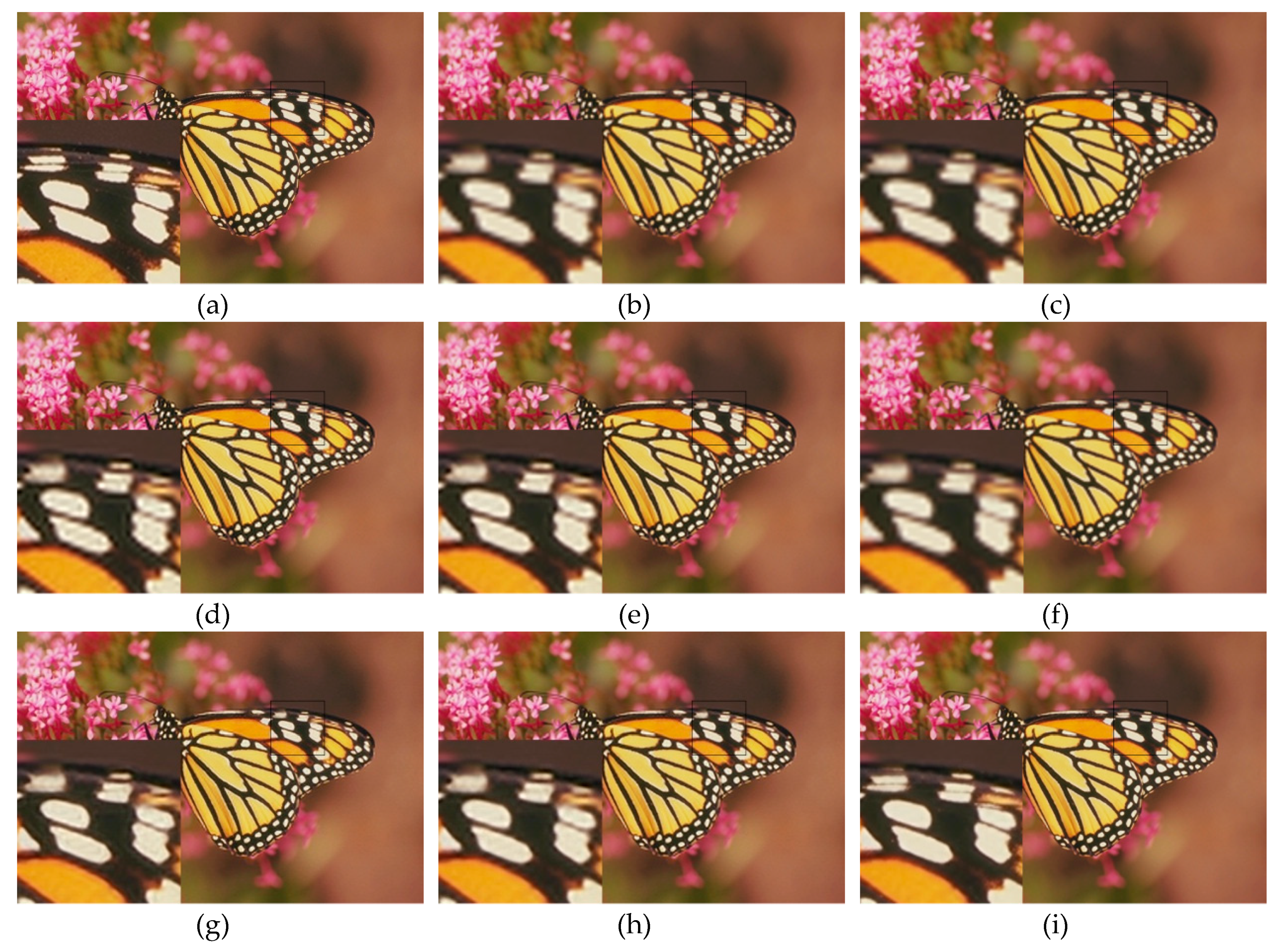 Applsci 09 00543 g001