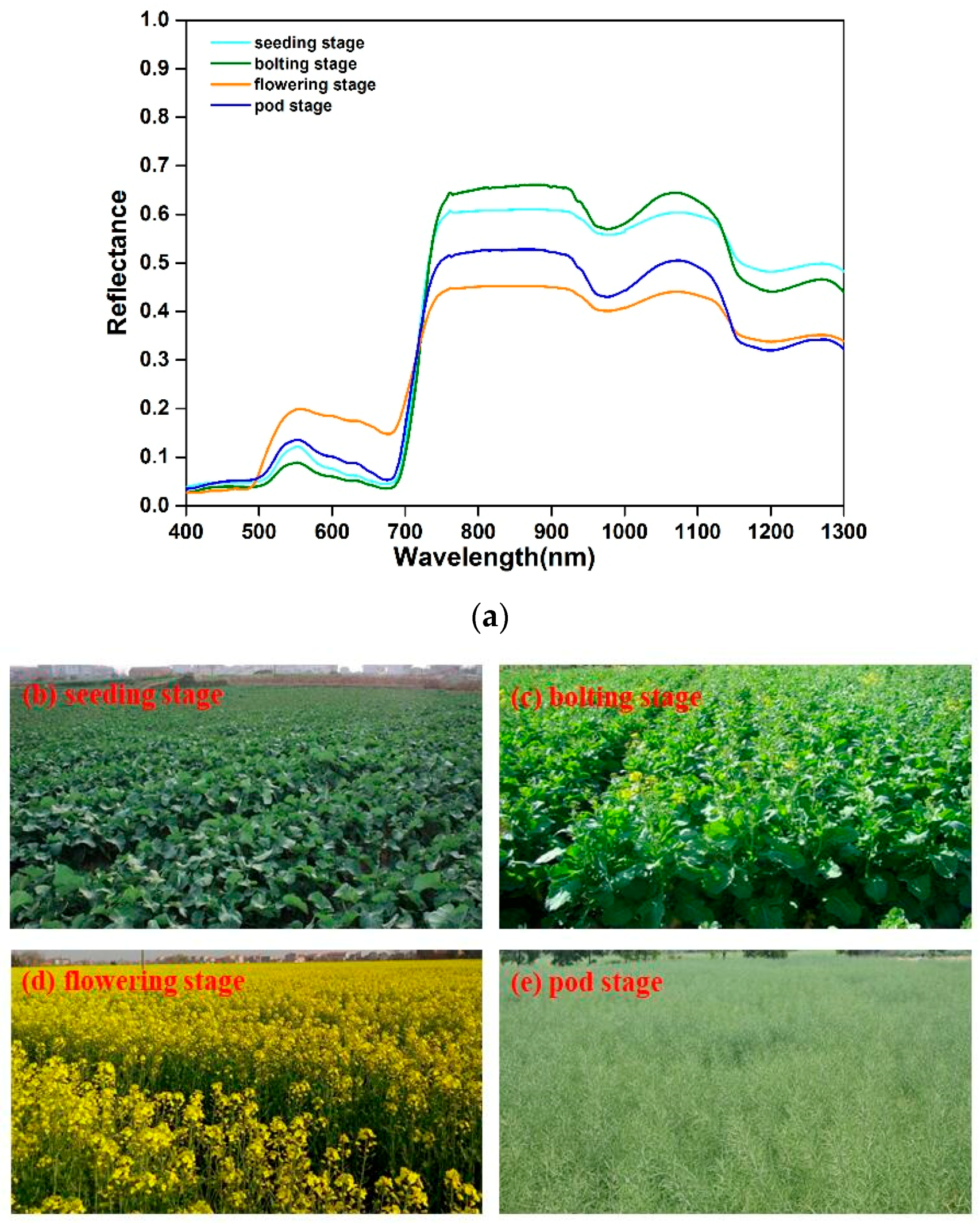 Applsci 09 00545 g002 550