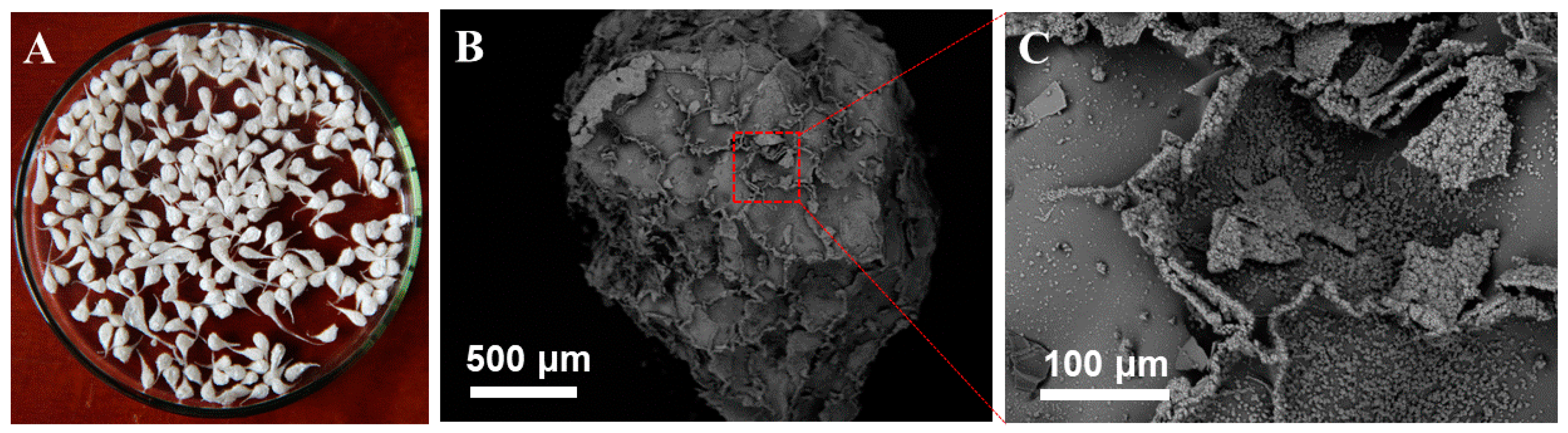 Applsci 09 00547 g003