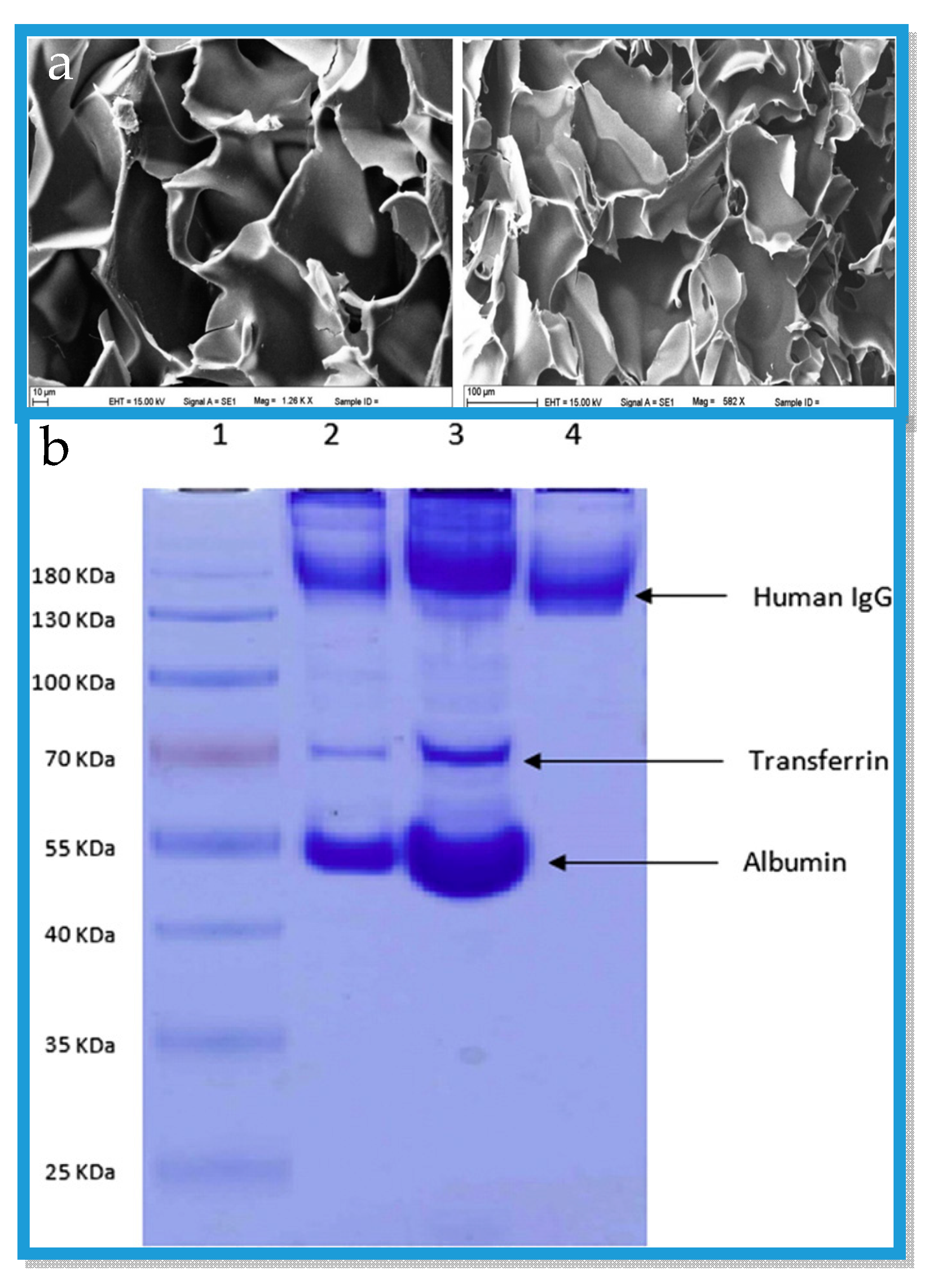 Applsci 09 00553 g003 Applsci 09 00553 g003