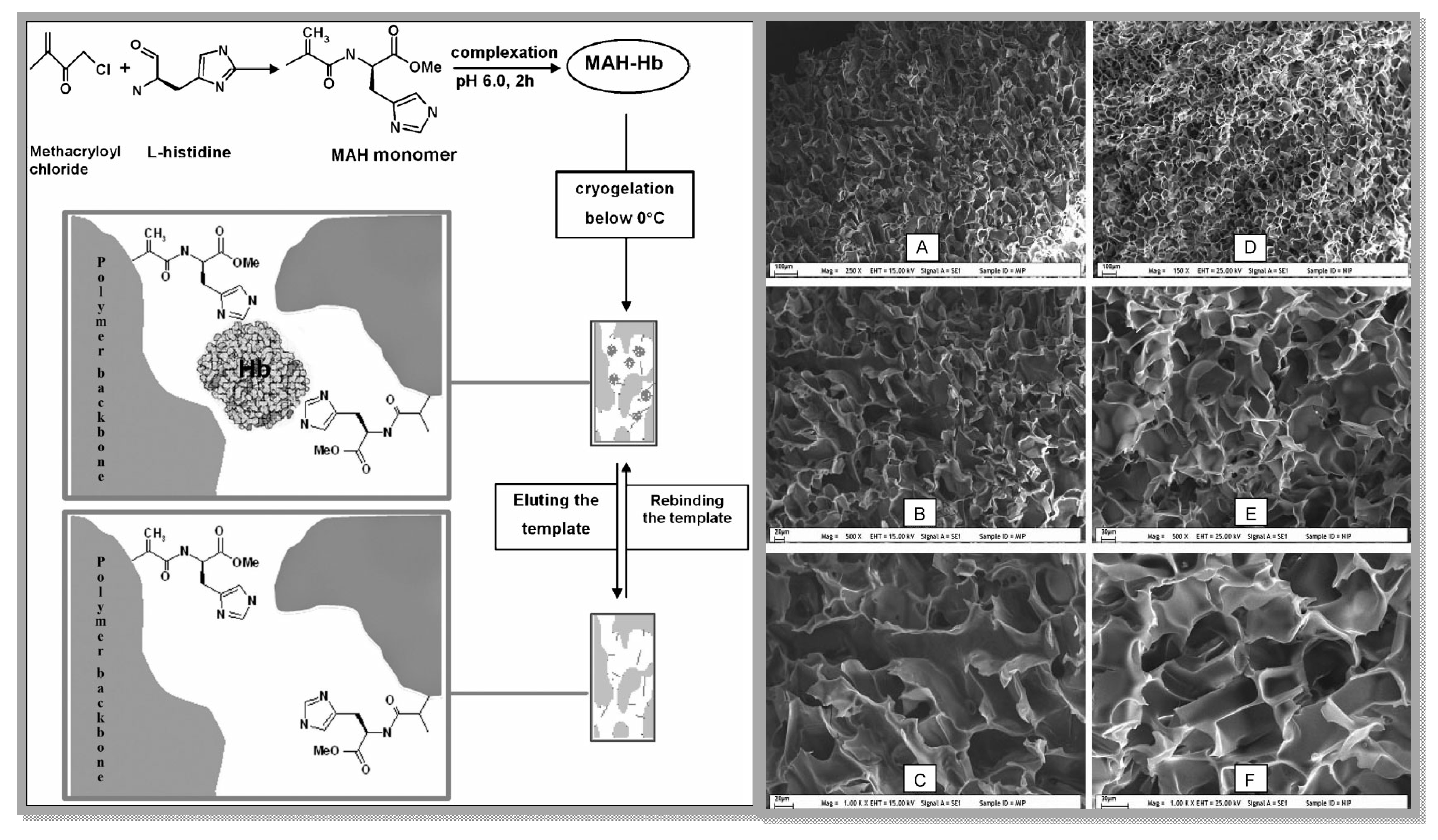 Applsci 09 00553 g004 Applsci 09 00553 g004
