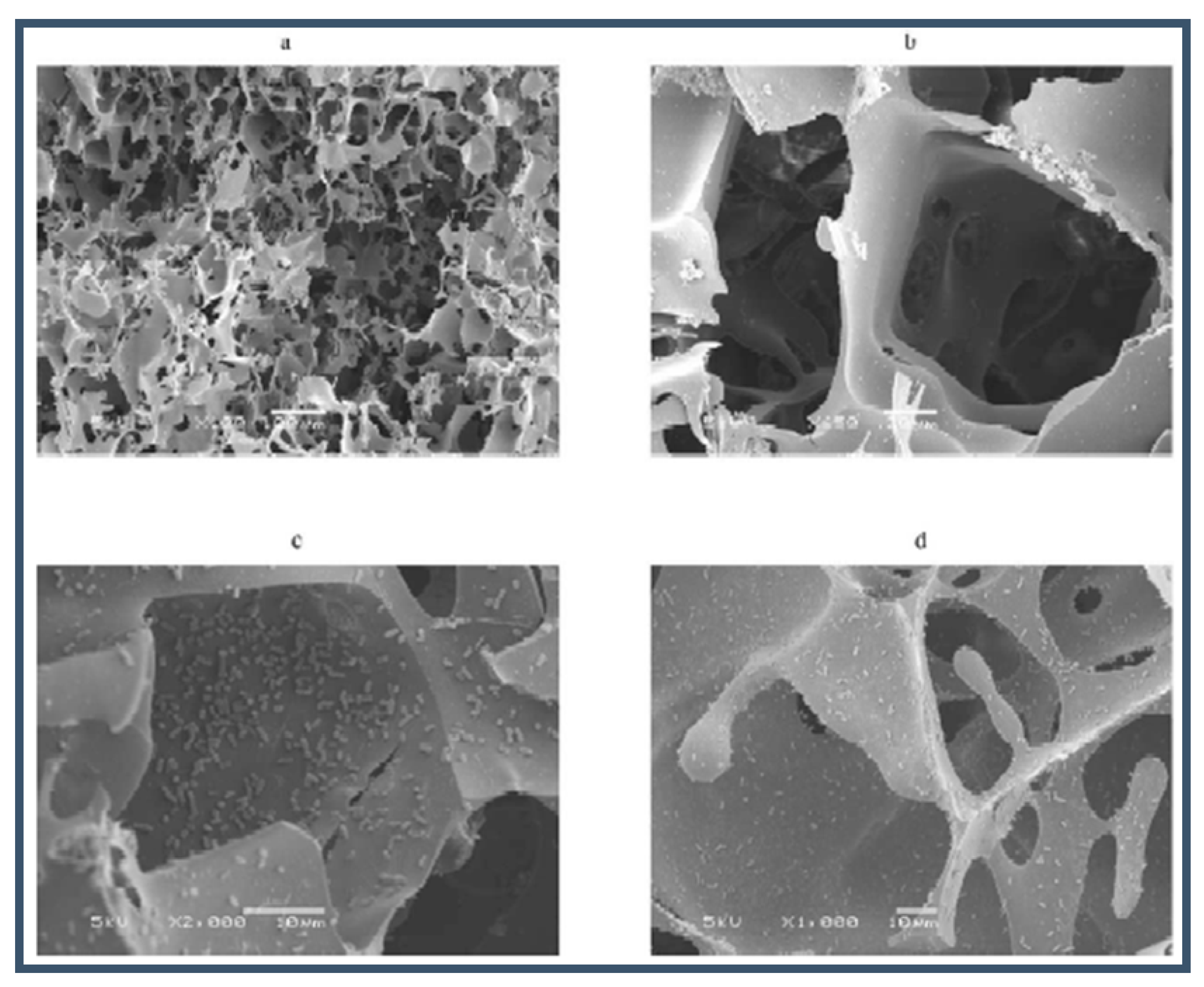 Applsci 09 00553 g005 Applsci 09 00553 g005