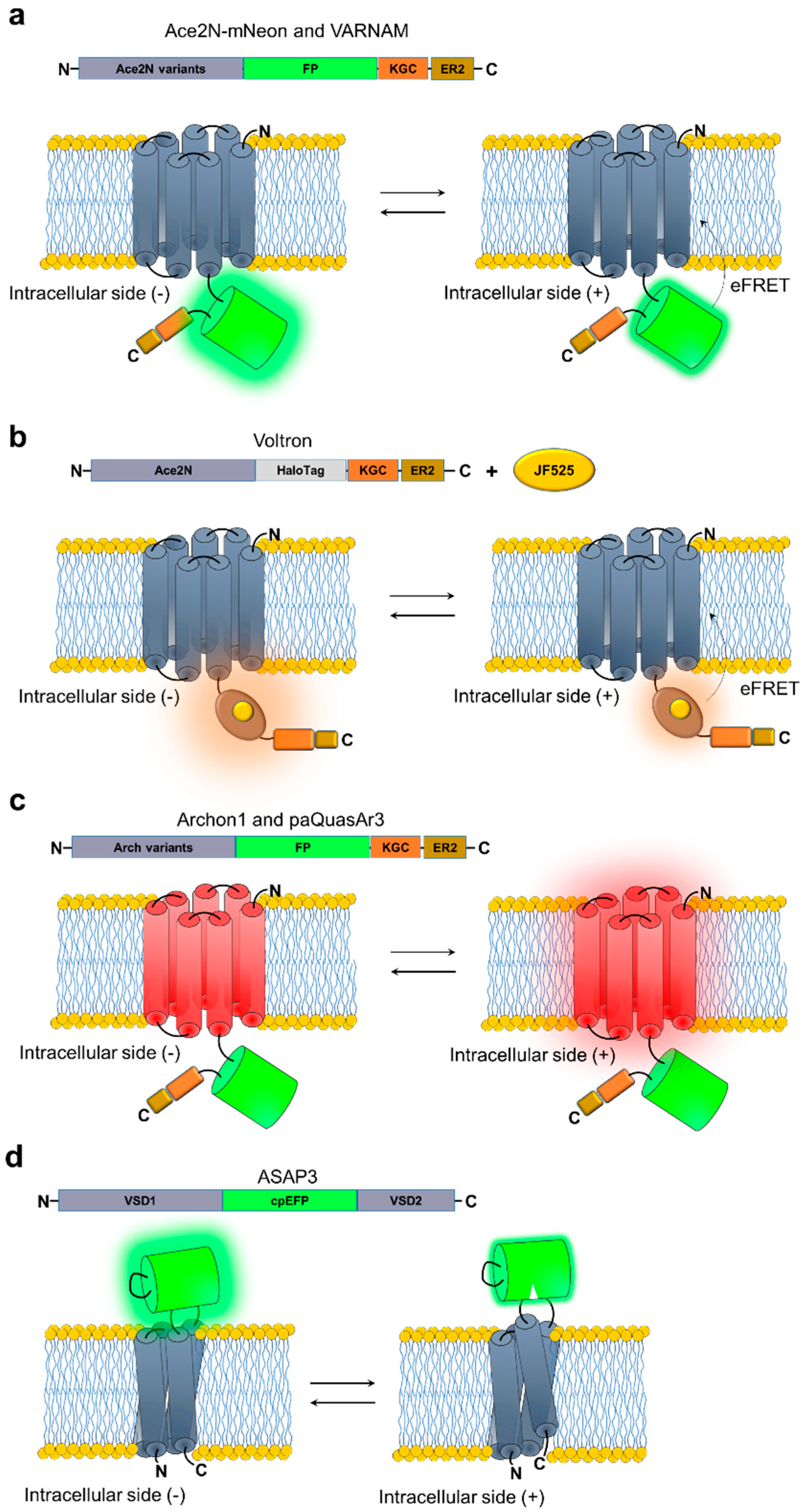 Applsci 09 00562 g002 550