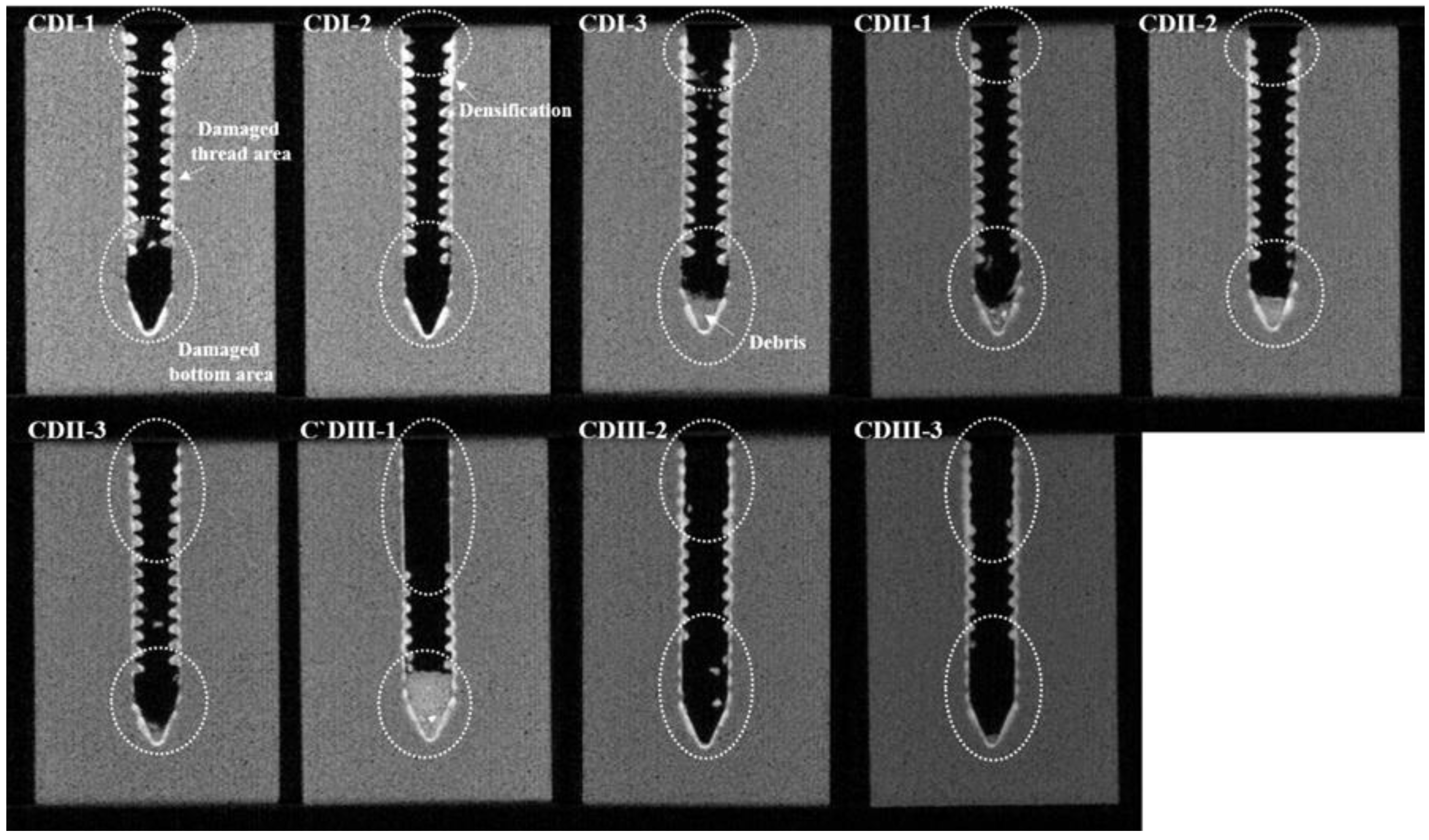 Applsci 09 00586 g010