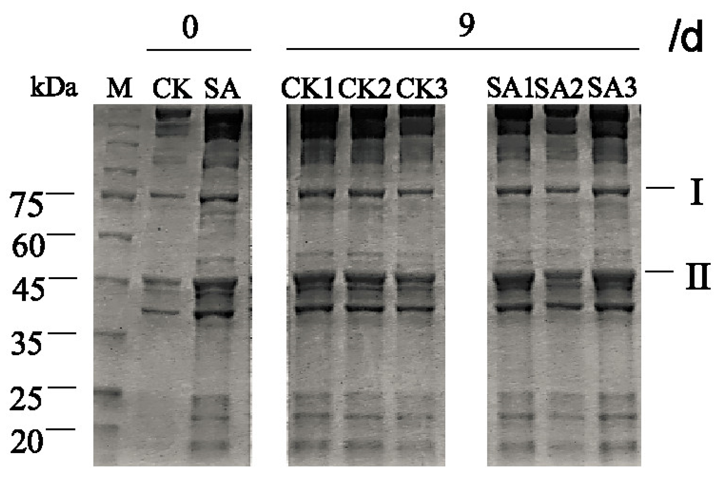 Applsci 09 00587 g006