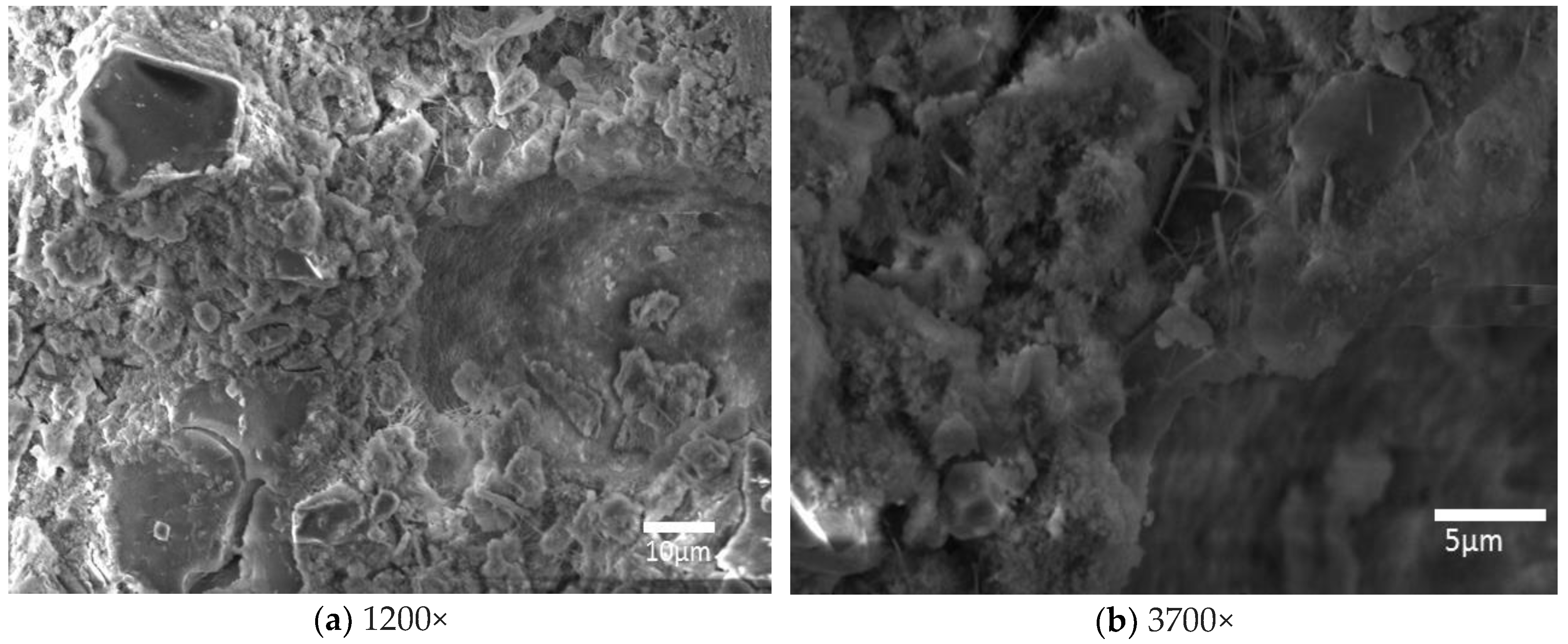 Applsci 09 00598 g008 Applsci 09 00598 g008