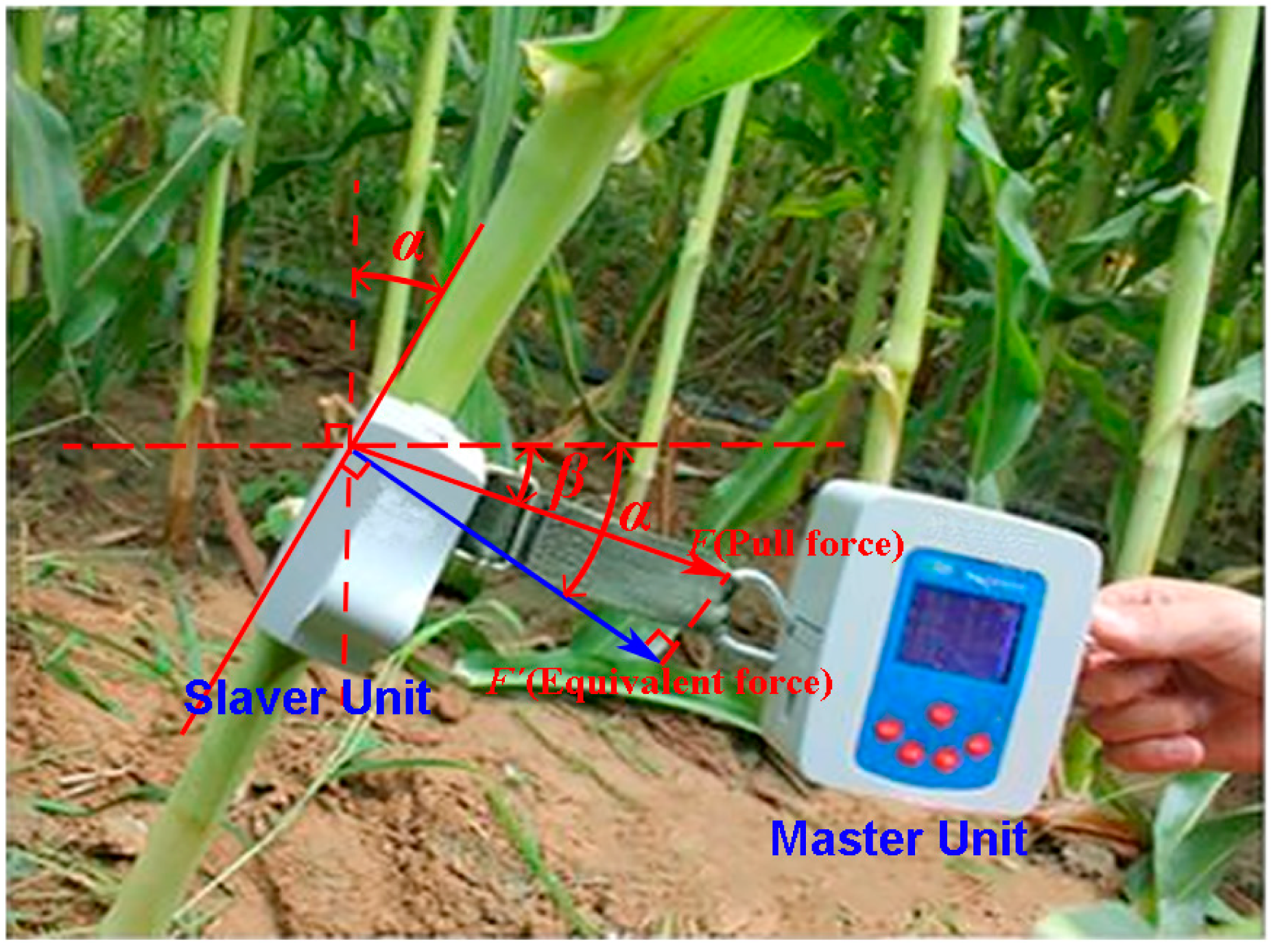 Applsci 09 00640 g001